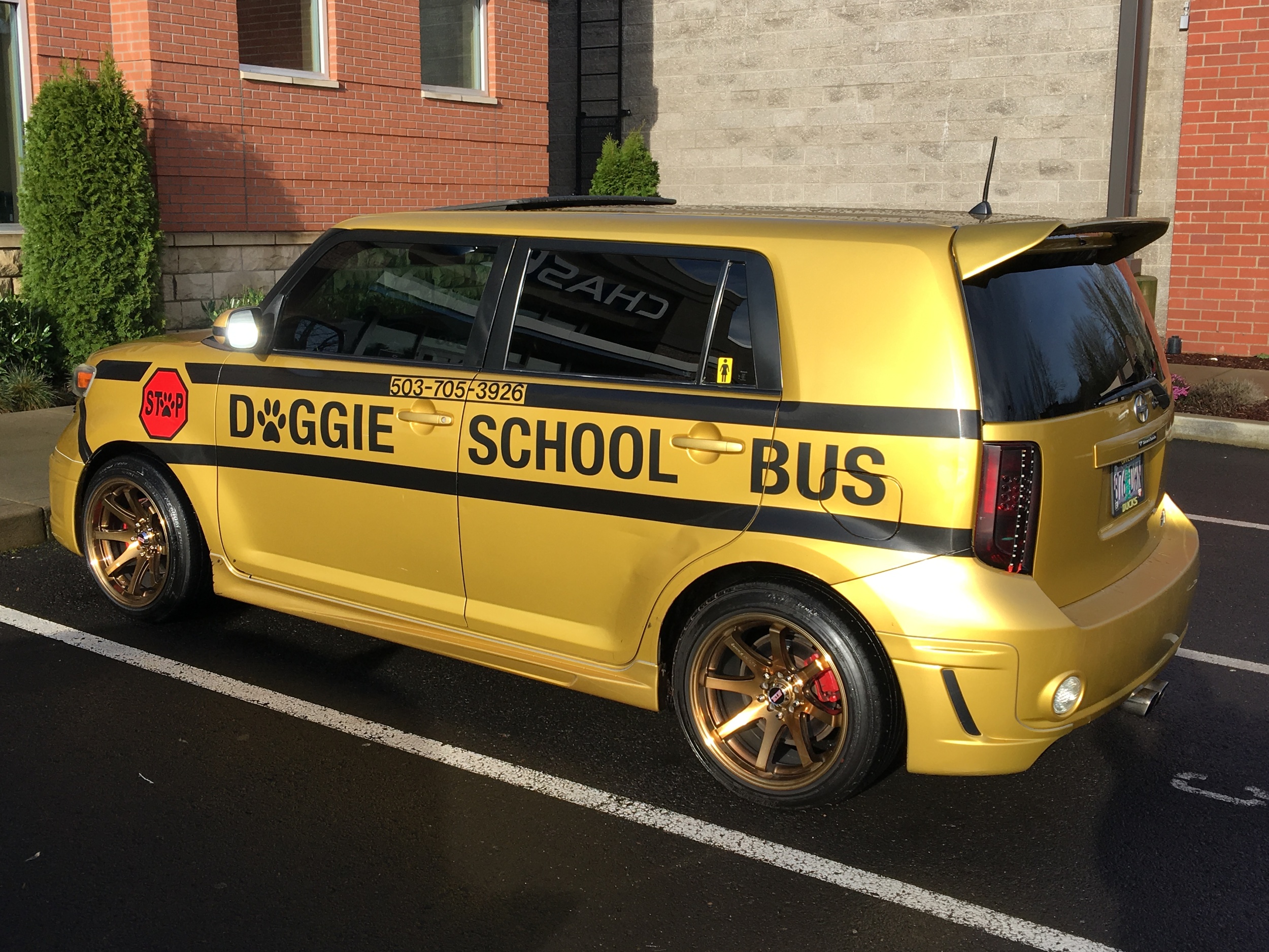 image.jpeg