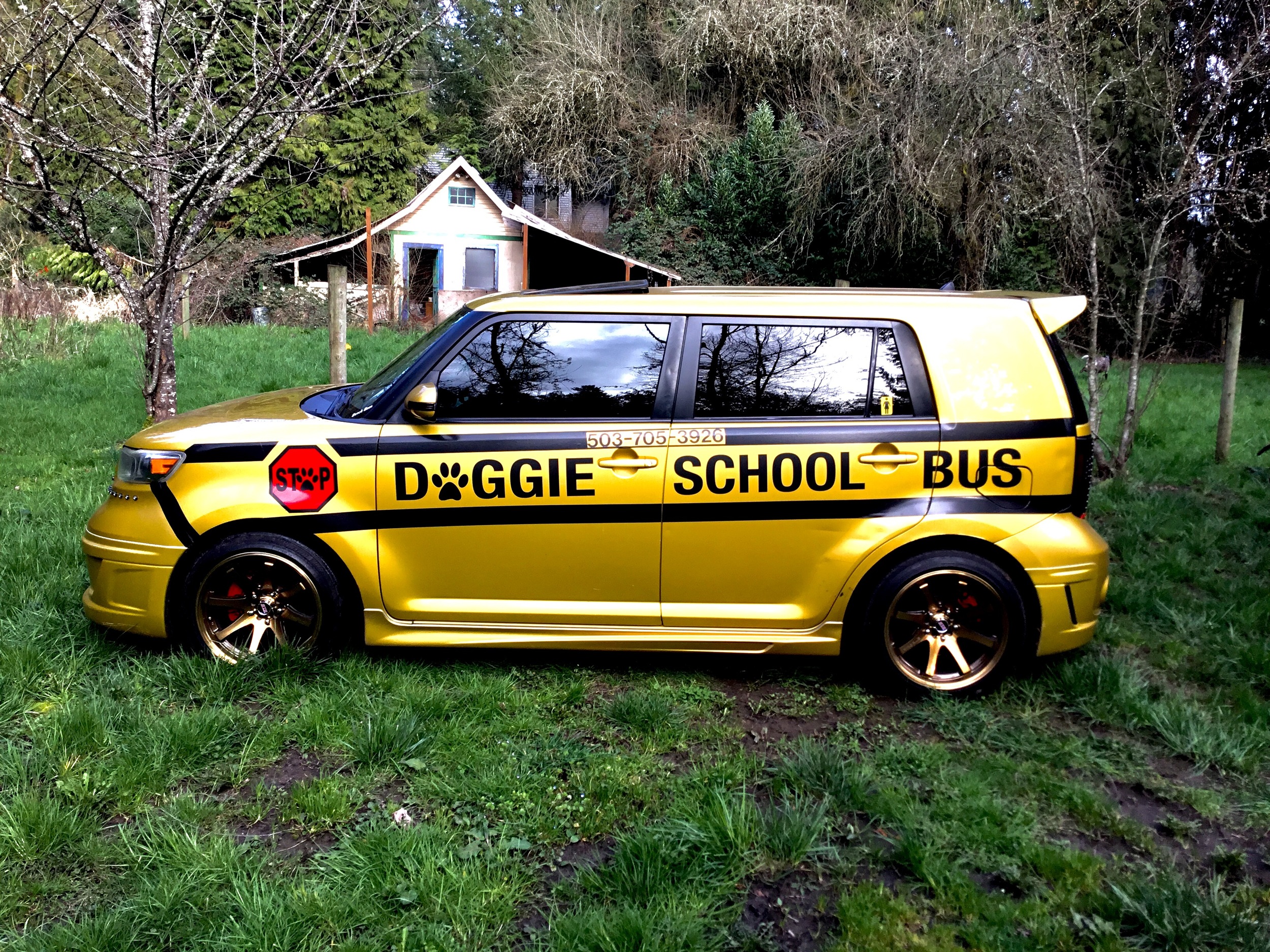 image.jpeg