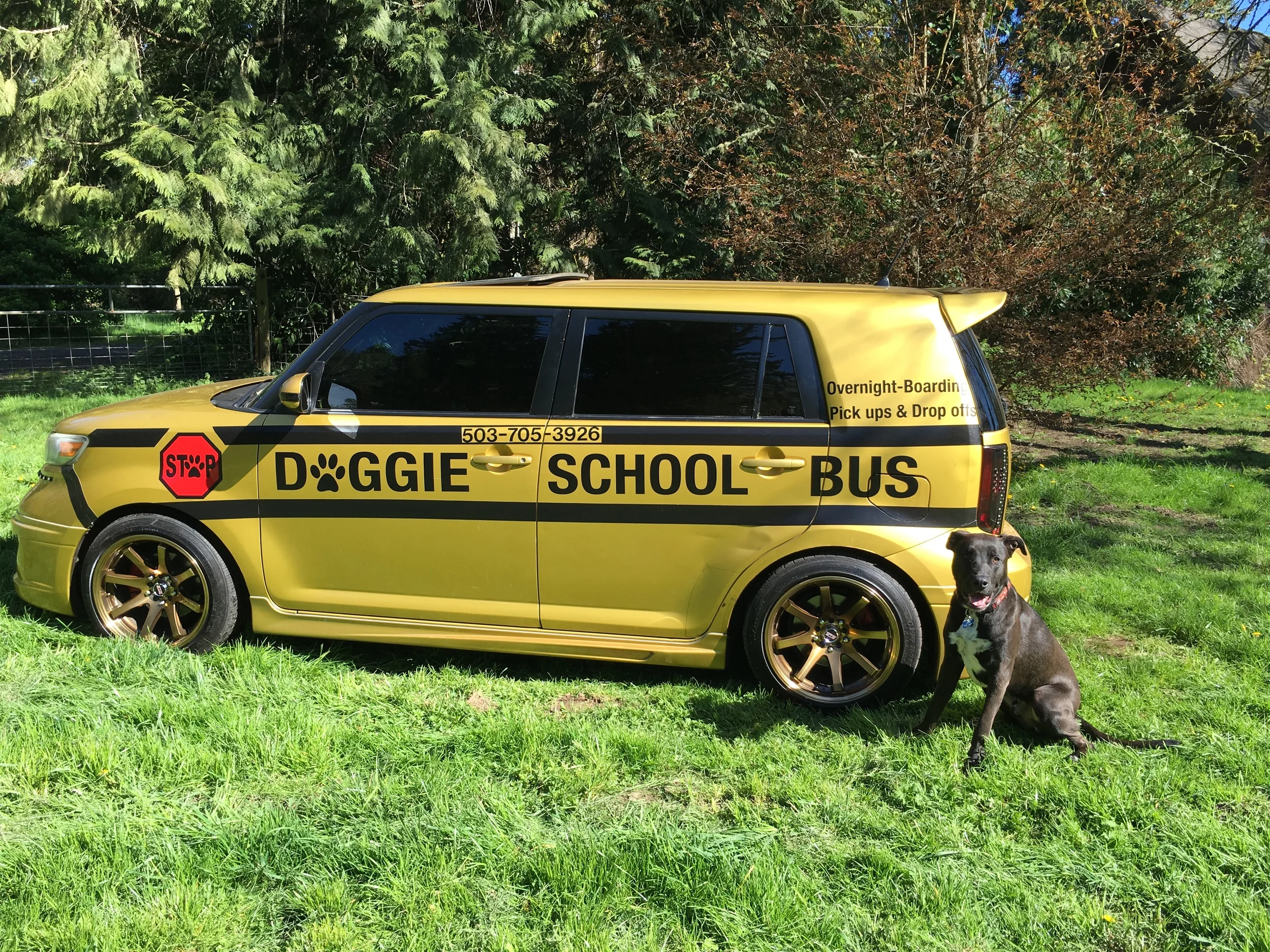 image.jpeg
