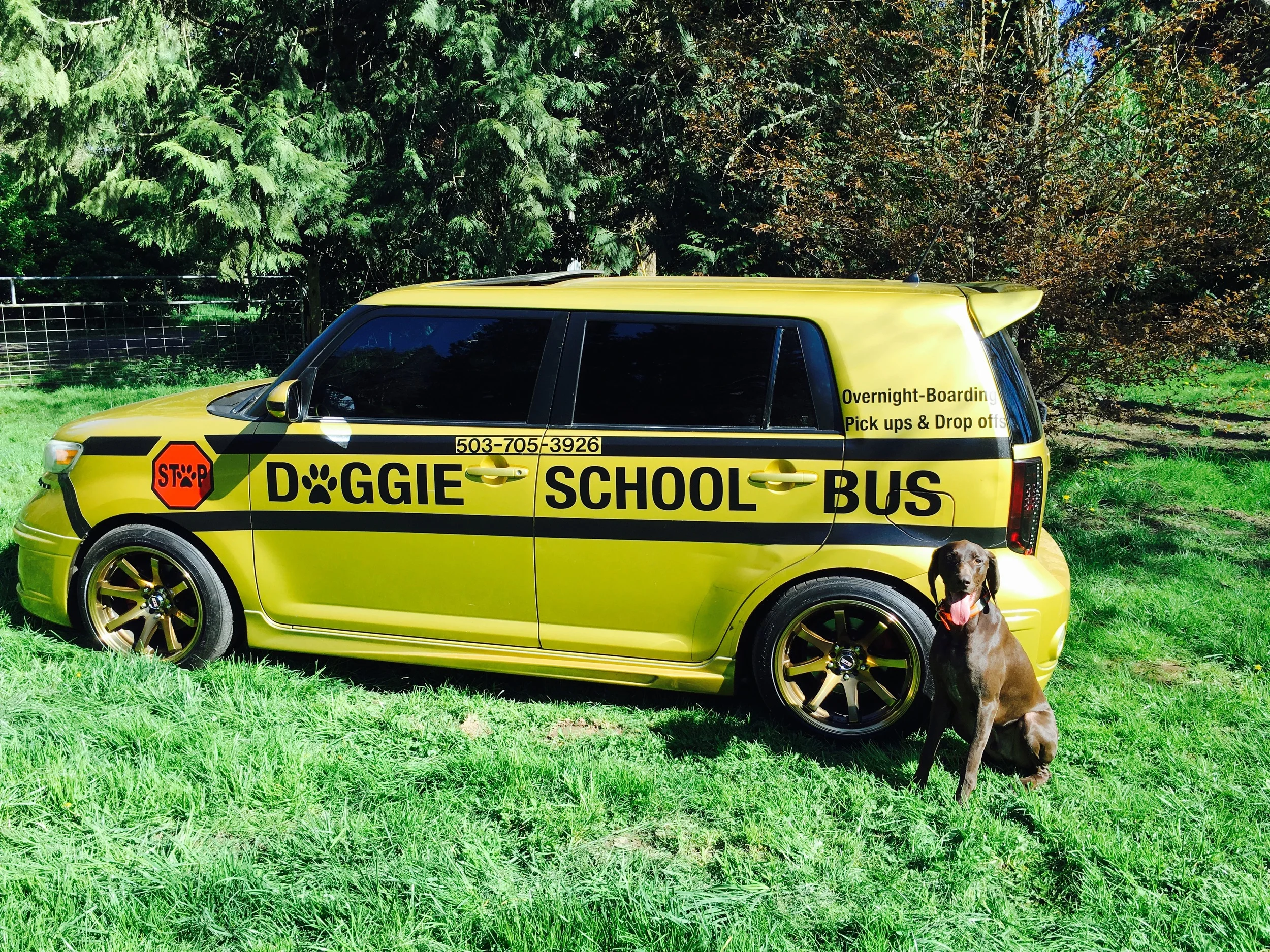 image.jpeg