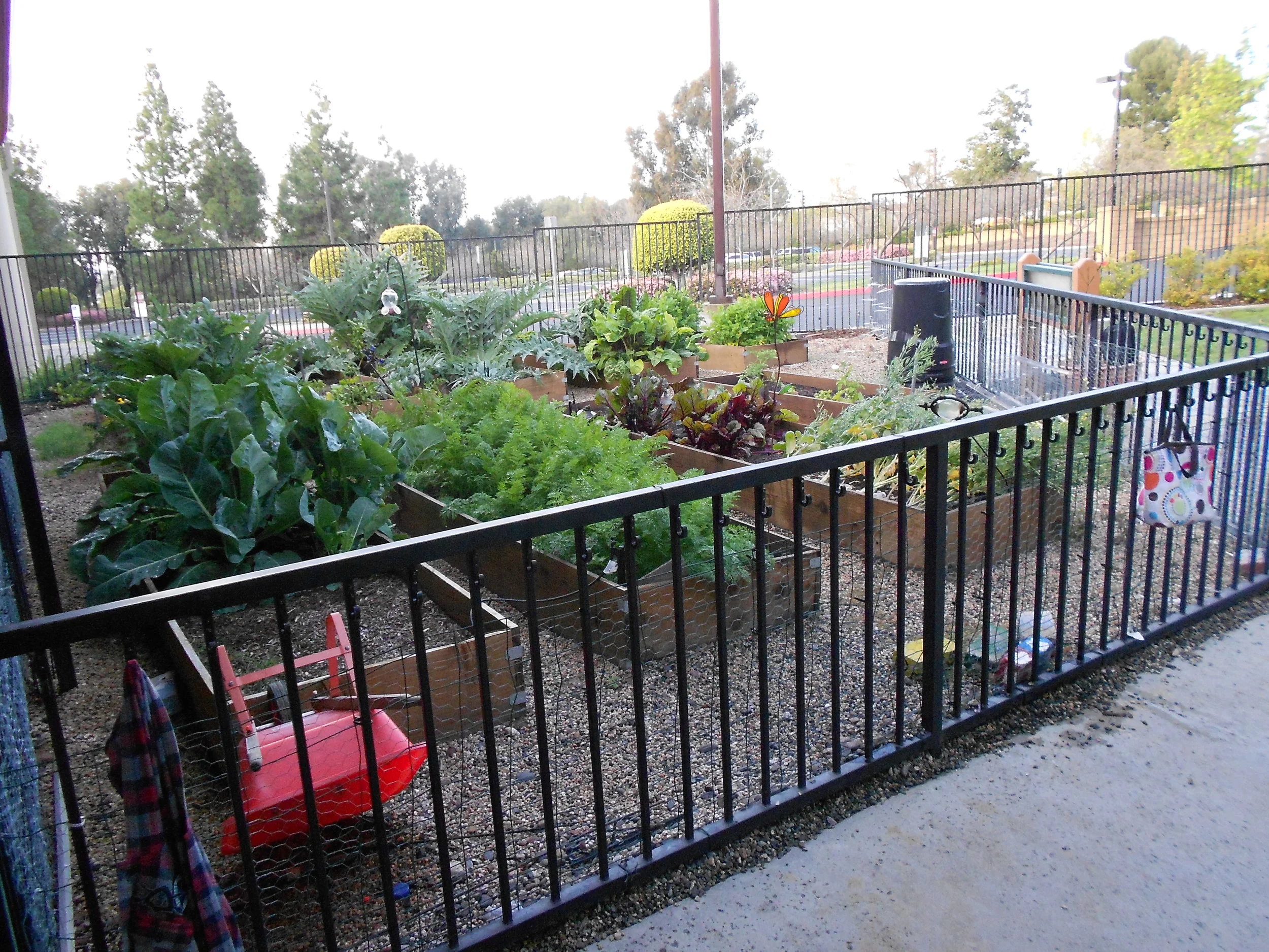 2012-03-28 00.24.50.jpg