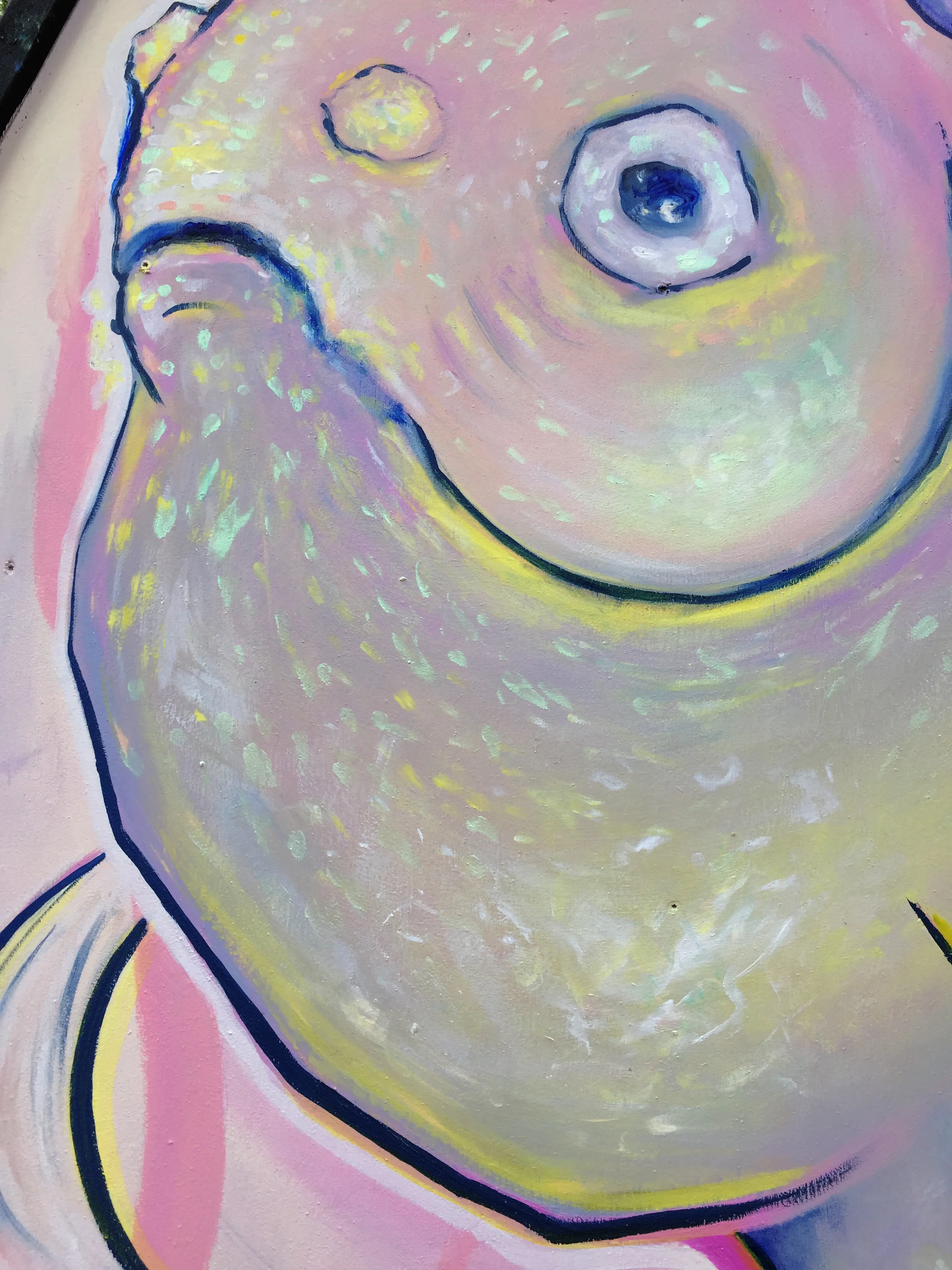 Feesh