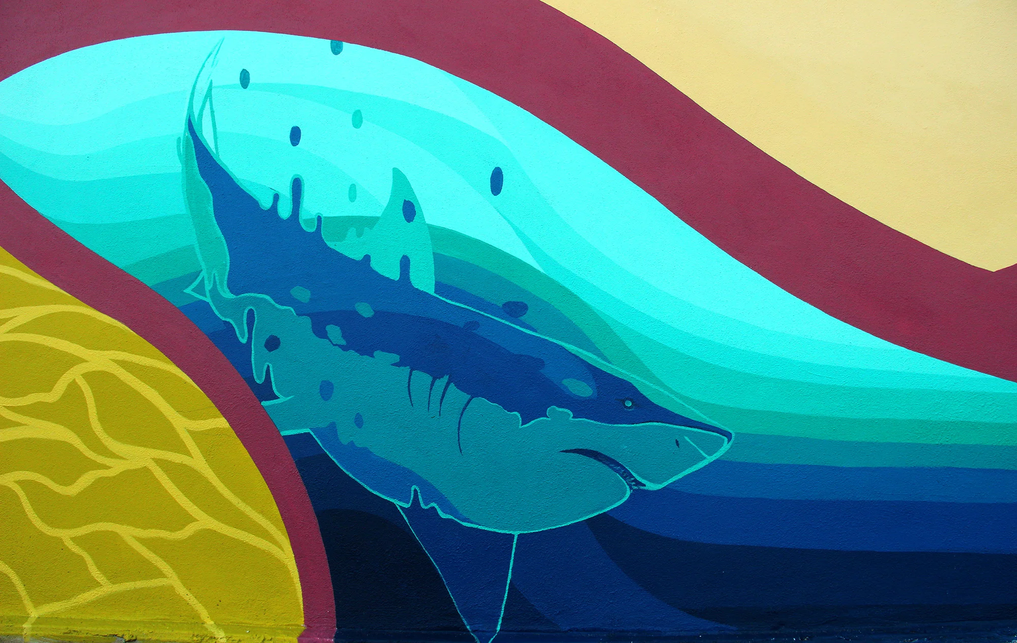 Mural Shark.jpg