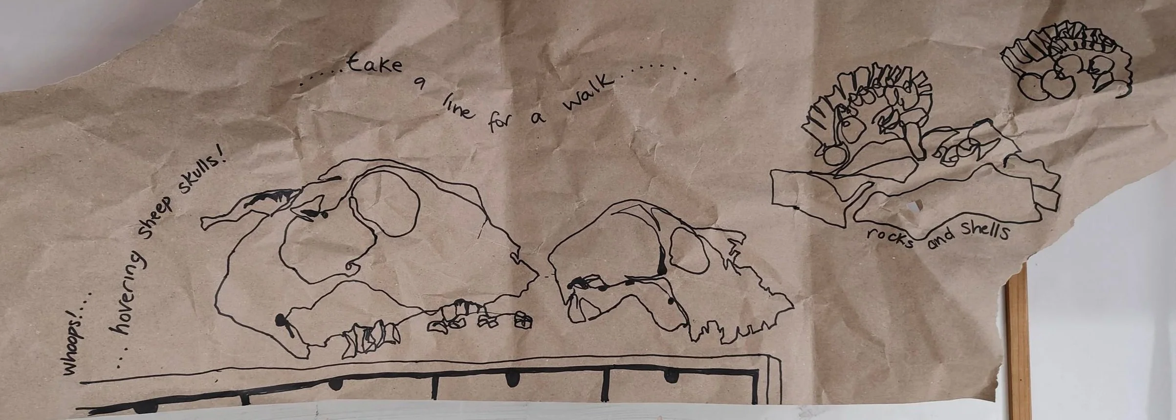 Hovering sheep skulls, rocks & shells