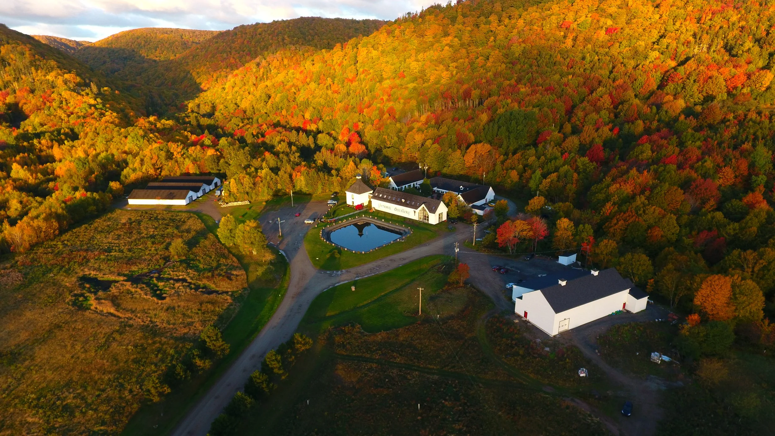 AUTUMN BEST PHOTO.JPG