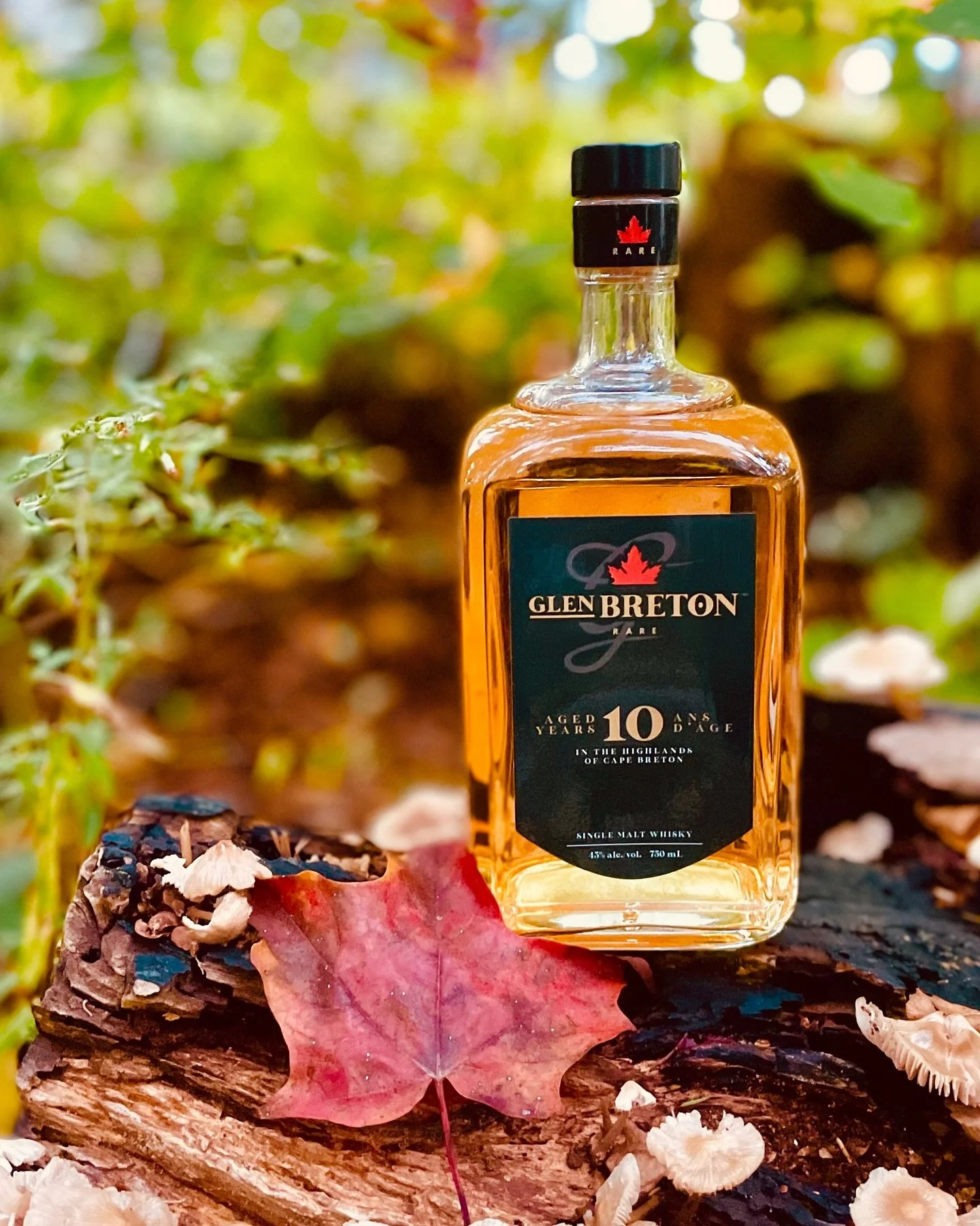 We are Canadian!! Glen Breton Rare Canadian Single Malt Whisky. #glenoradistillery #glenbreton #singlemaltwhisky #whiskydistillery