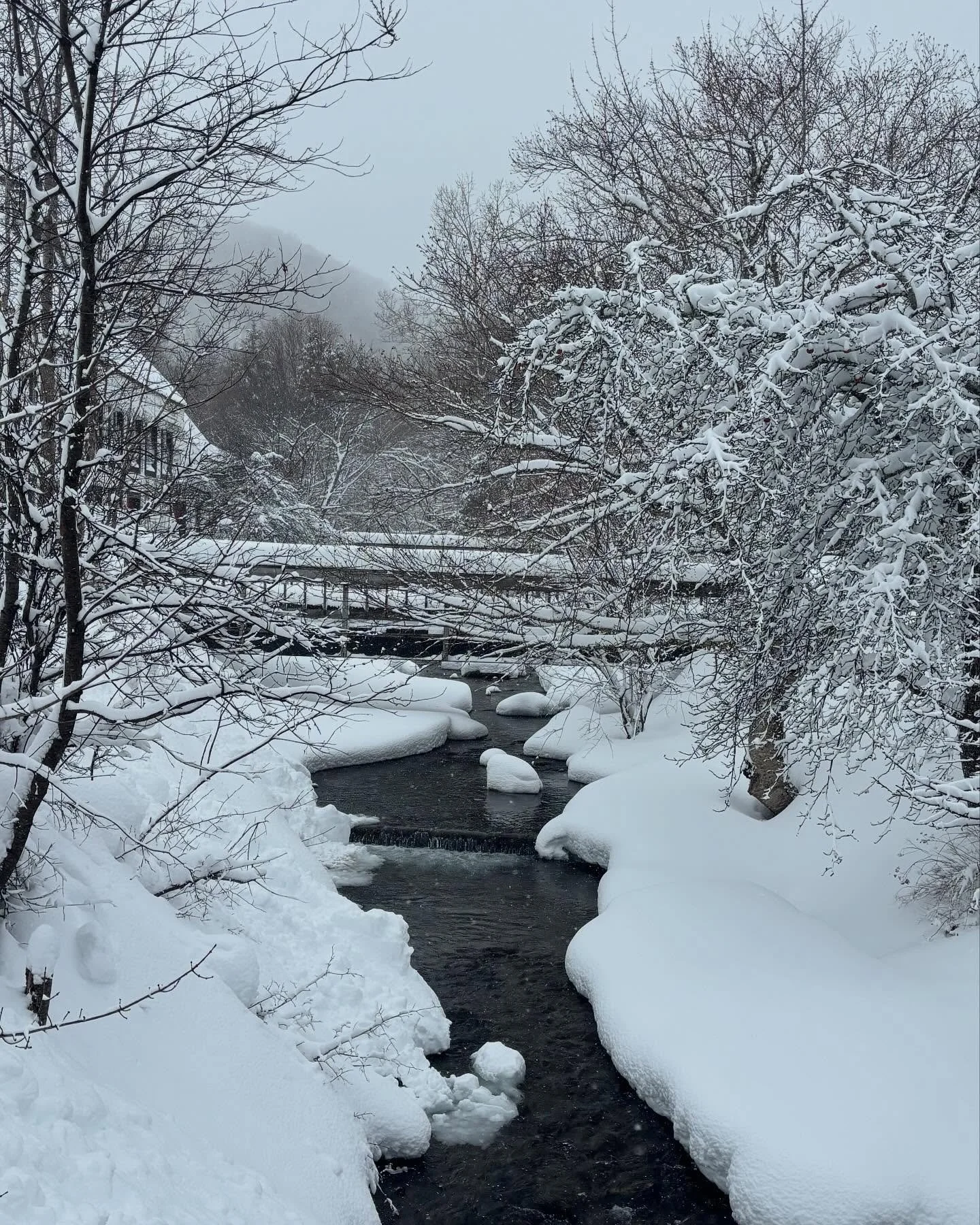 Snow, snow, and more snow!  #explorecb #whiskydistillery #capebreton #novascotia #whiskywithaview #singlemalt #canada #imagesofcsnada #snow