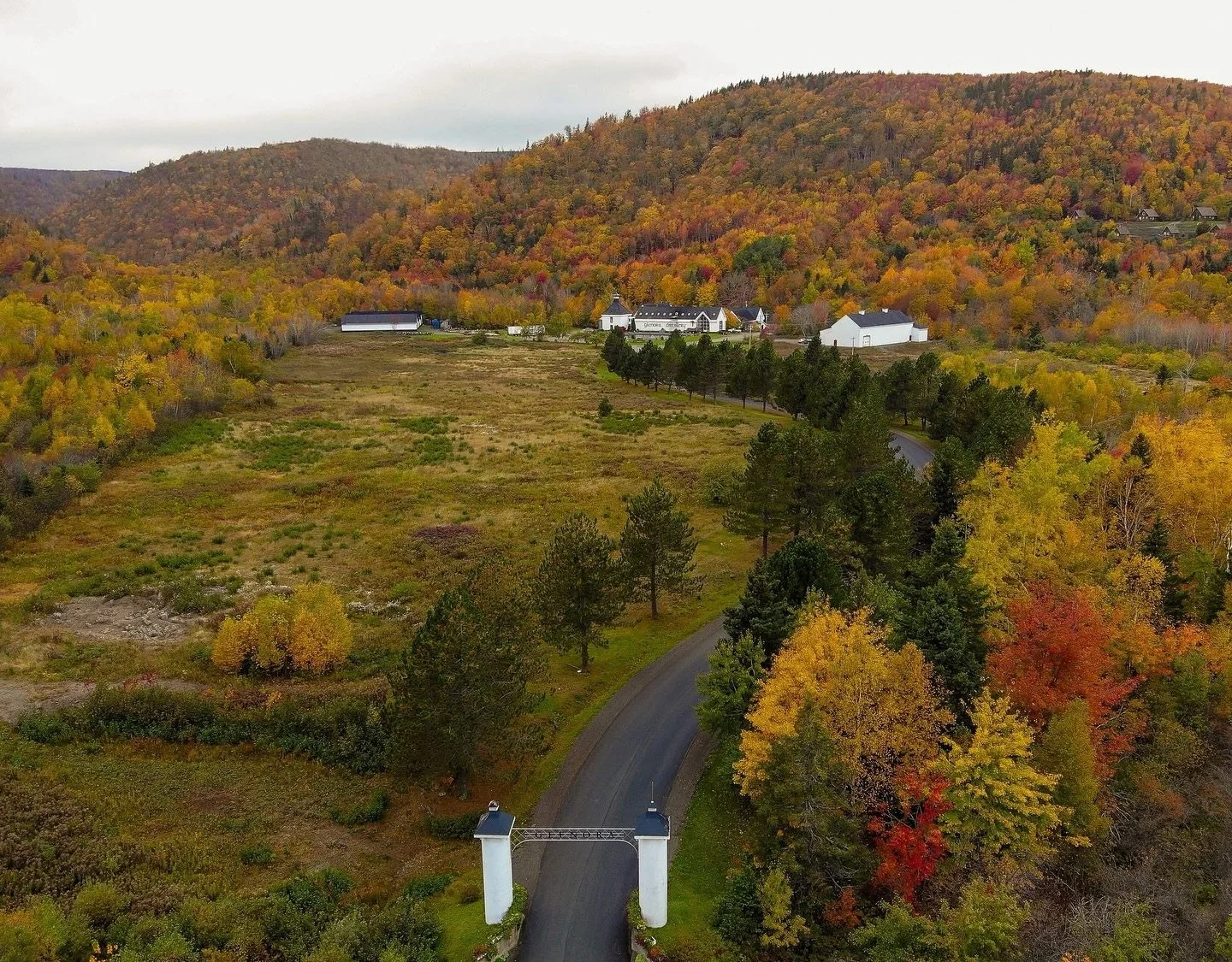 Life is beautiful, and fall foliage is one of the many amazing things that make it so.  #capebreton #novascotia #whiskydistillery #singlemaltwhisky #glenbretonwhisky #singlemaltwhiskydistillery #fall #lifeisbeautiful #whiskywithaview