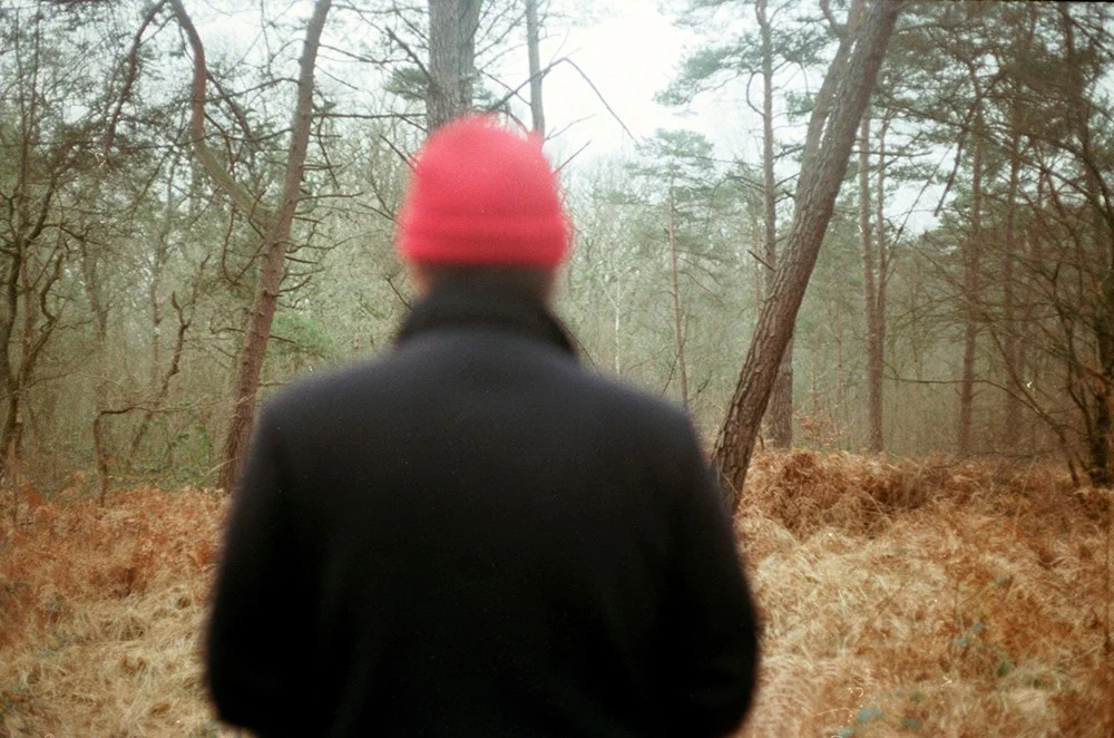 gui foret.jpg
