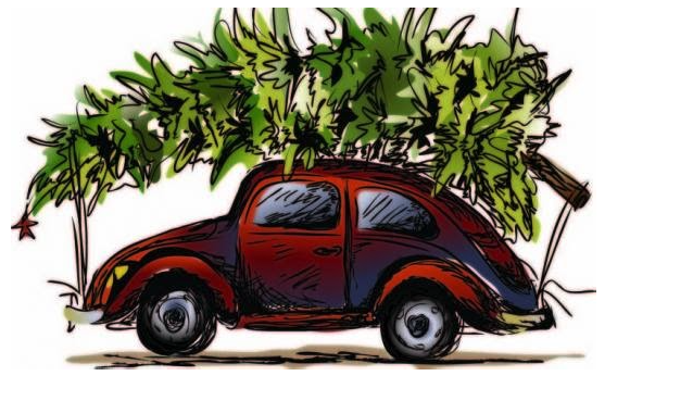 Arbres de Nadal a domicili!