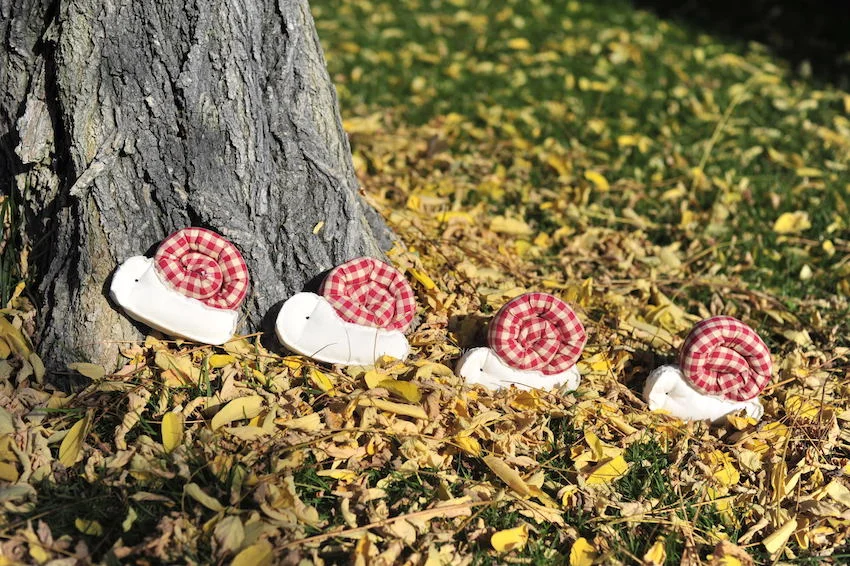 Cargol treu banya, puja la muntanya