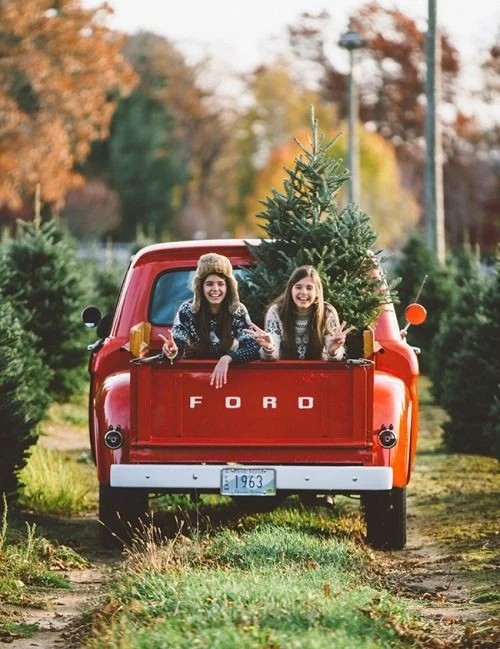 Arbres de Nadal a domicili