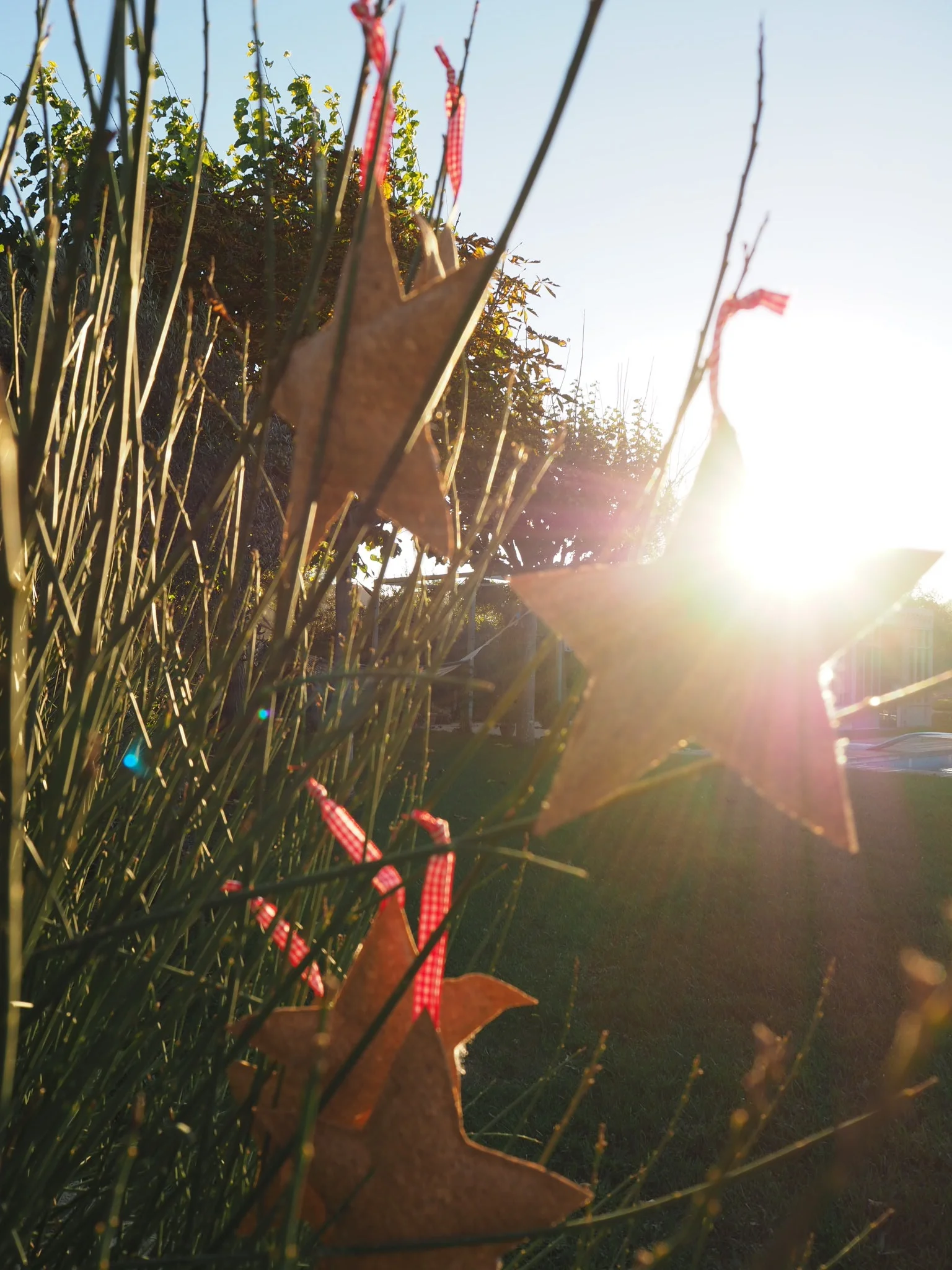 Twinkle Twinkle Little Star... 