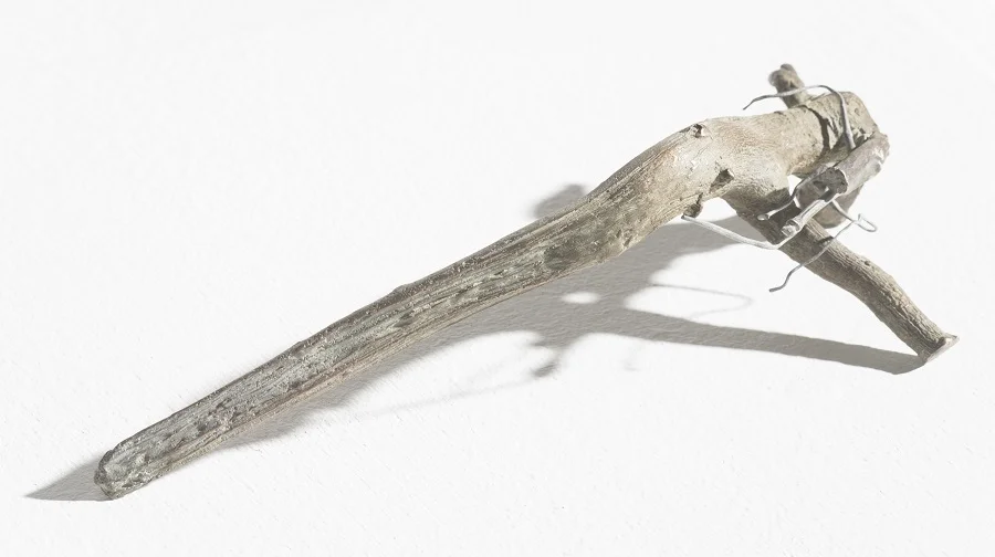 Celtis africana (2017), bronze, 29 x 8 x 13 cm