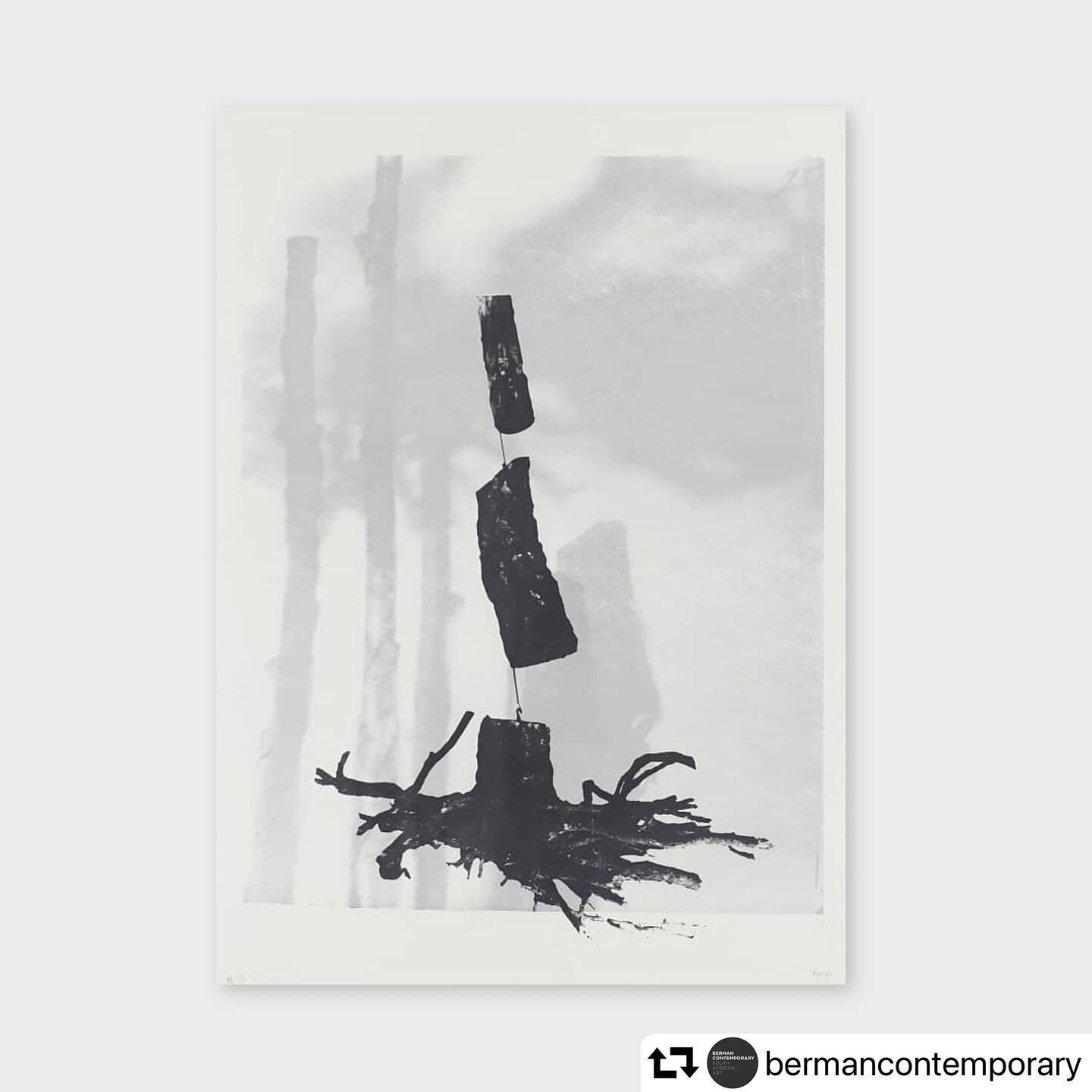 #repost @bermancontemporary
・・・
In Marian Hester&rsquo;s series of Shadowscapes screen prints, Marian and the master printer came up with new ways to cast shadows of trees directly onto the screens used for making the screen prints, so that the resul