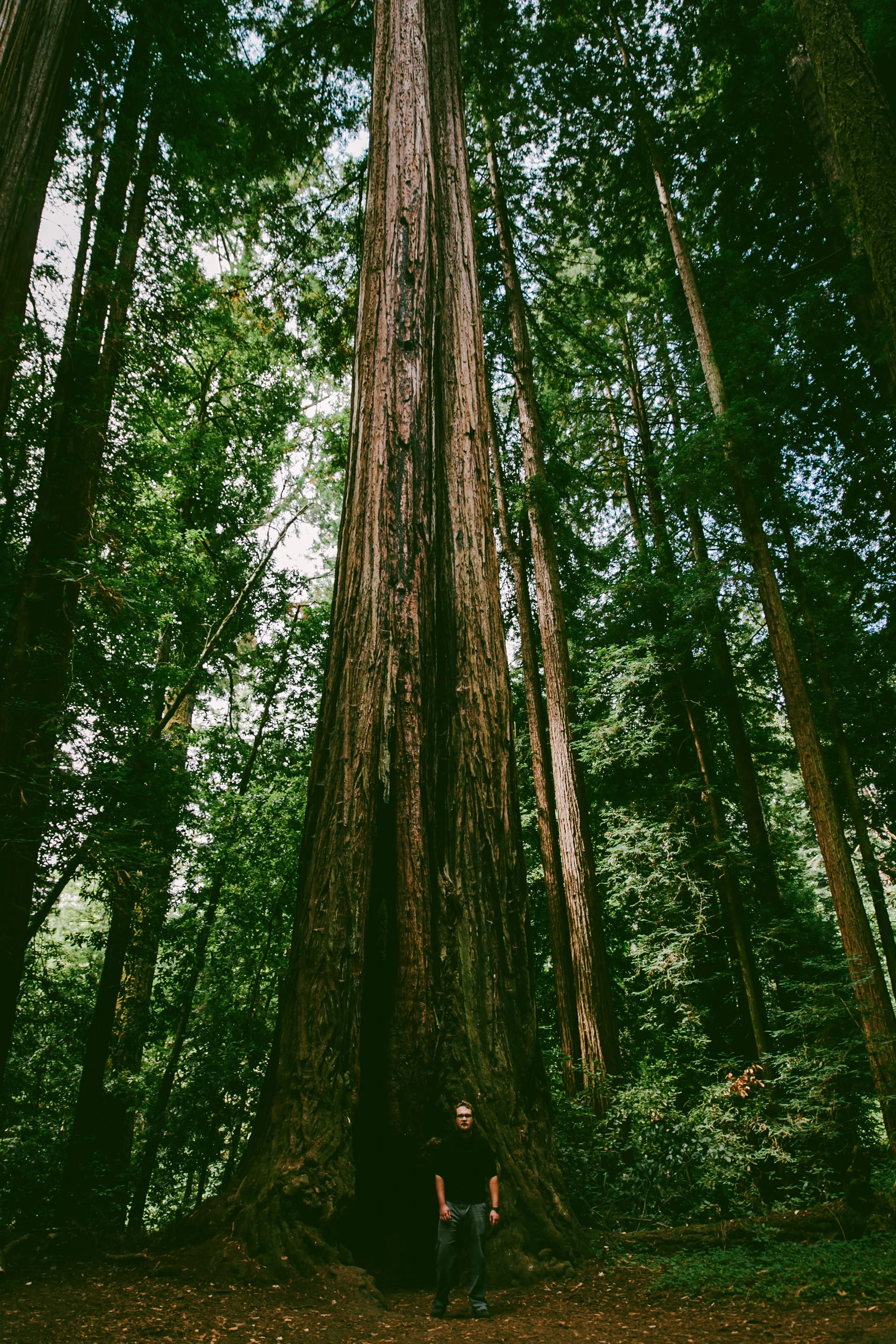 Langley Honeymoon-58.jpg