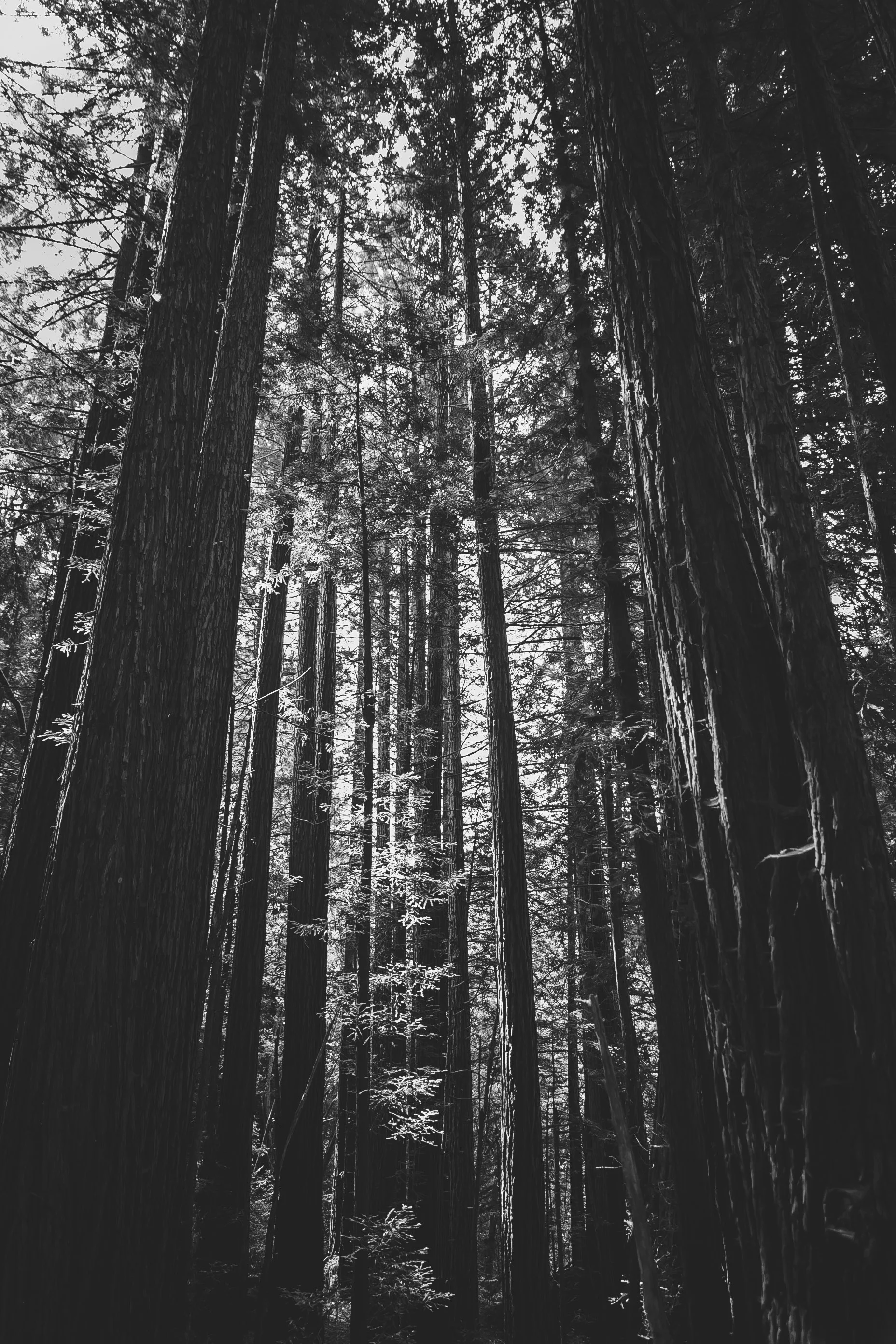 Langley Honeymoon-62.jpg