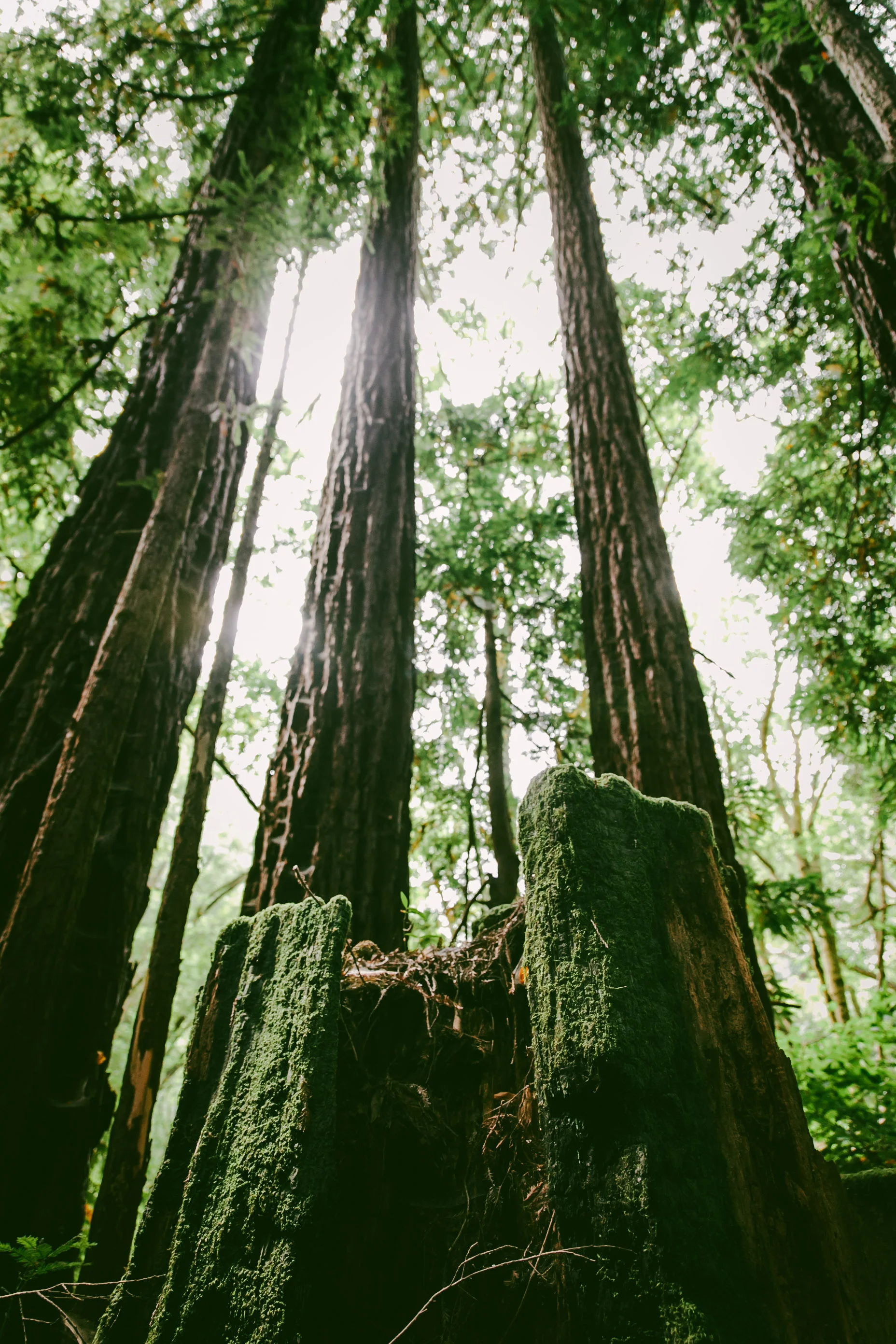 Langley Honeymoon-63.jpg