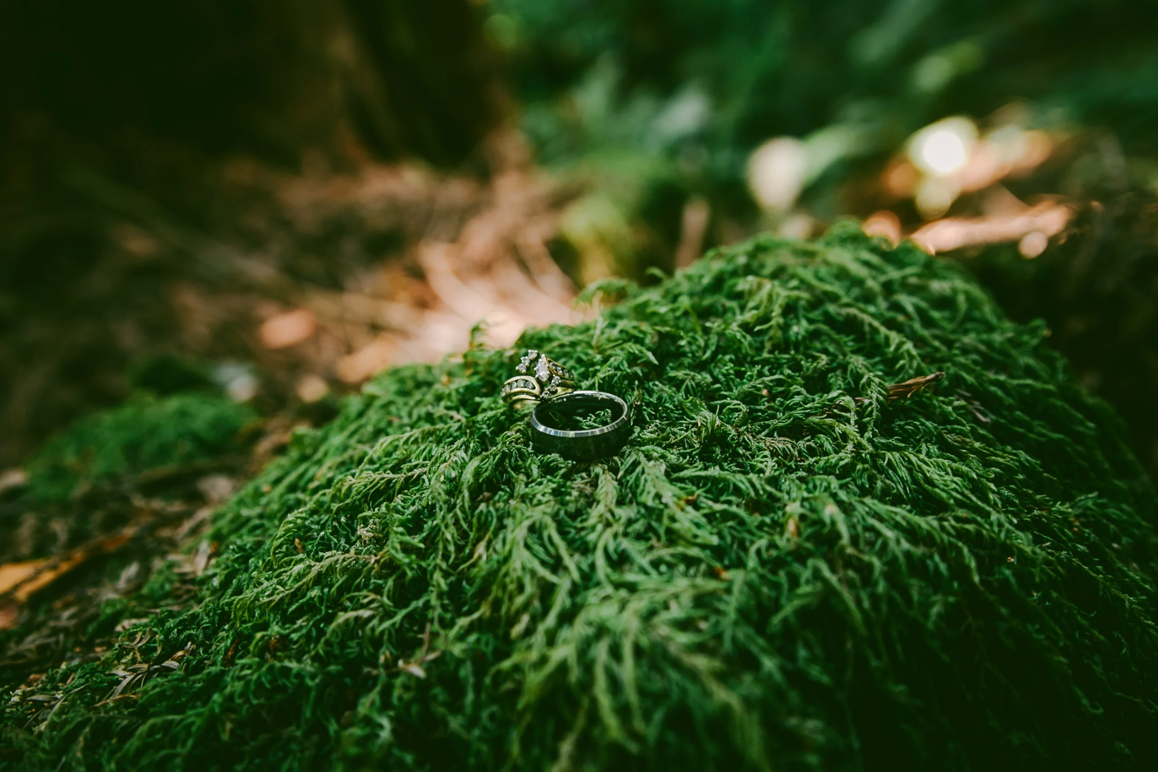 Langley Honeymoon-76.jpg