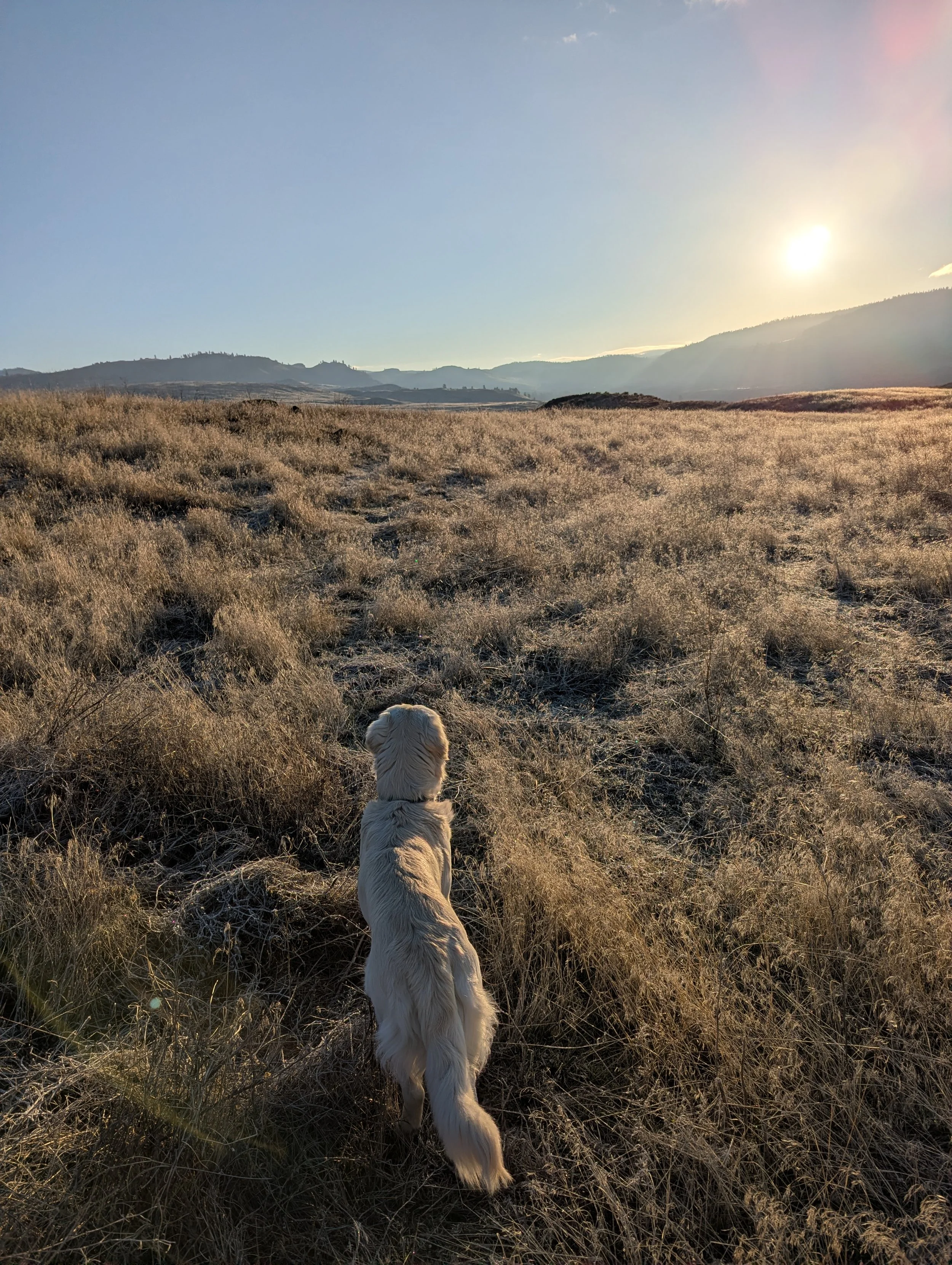 NVH Newsletter February 2026