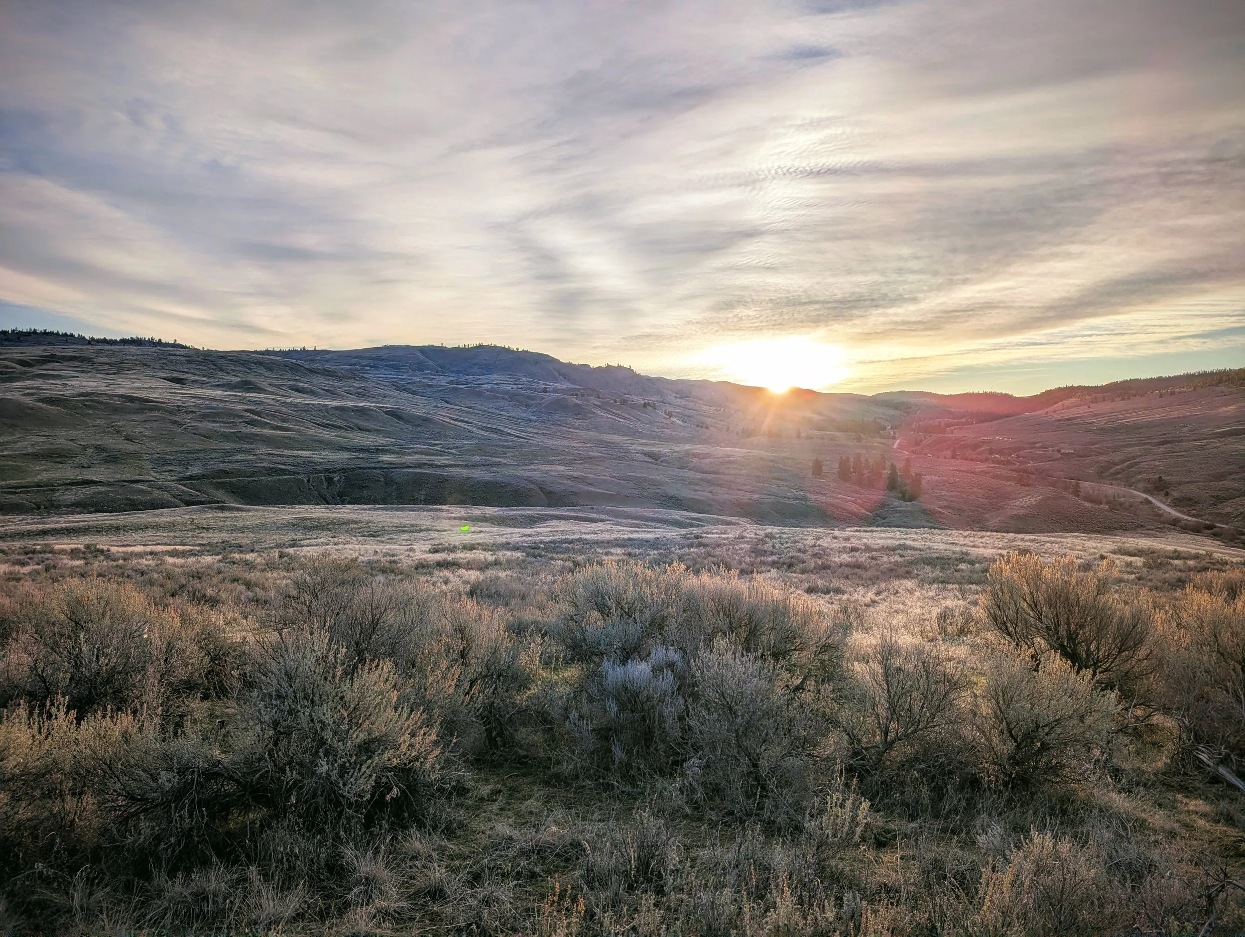 NVH Newsletter March 2026