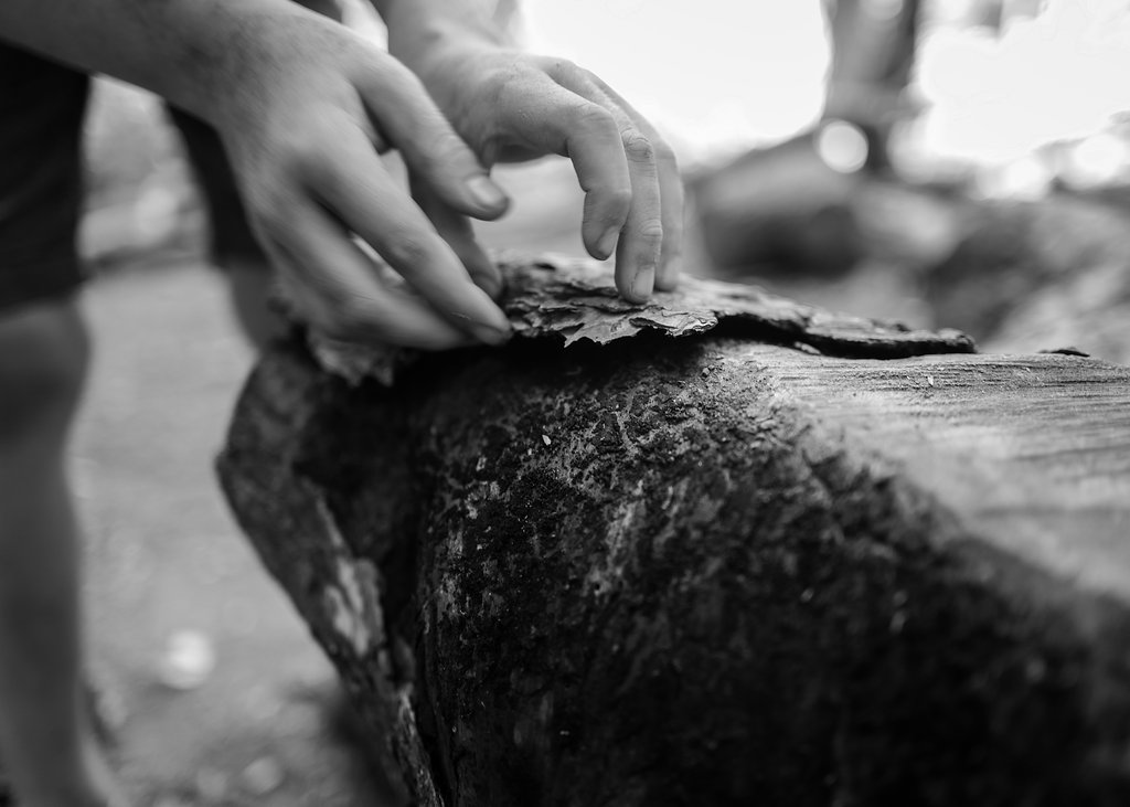 Photos by Torz Dallison Photography