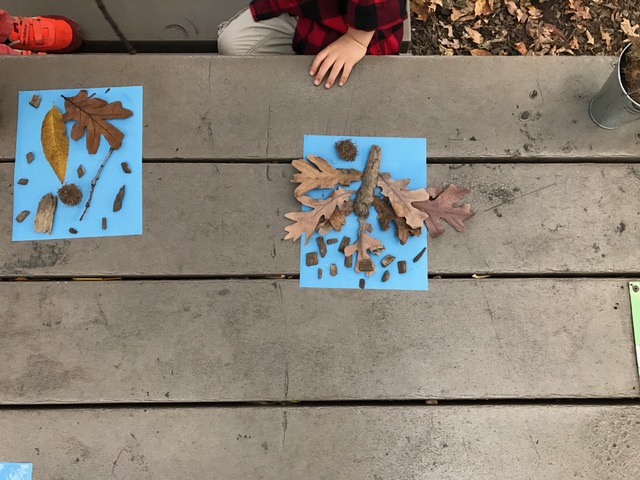 Creating nature sun prints helped us celebrate our beautiful sunny day. The children discovered that after they set out their patterns on the photo paper, the sun did most of the work!