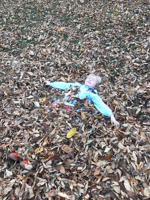 Penn decided to take a Muir style nap. NO BED necessary!