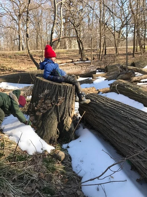 After a long hour of constructing a fort, you need a break! Tree stumps offer just the place to relax.