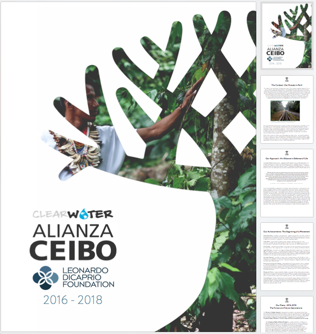 leonardo dicaprio foundation & alianza ceibo annual reports, design and layout
