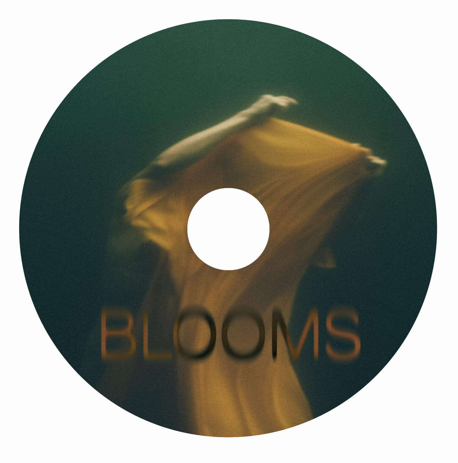 blooms disc MG.jpg