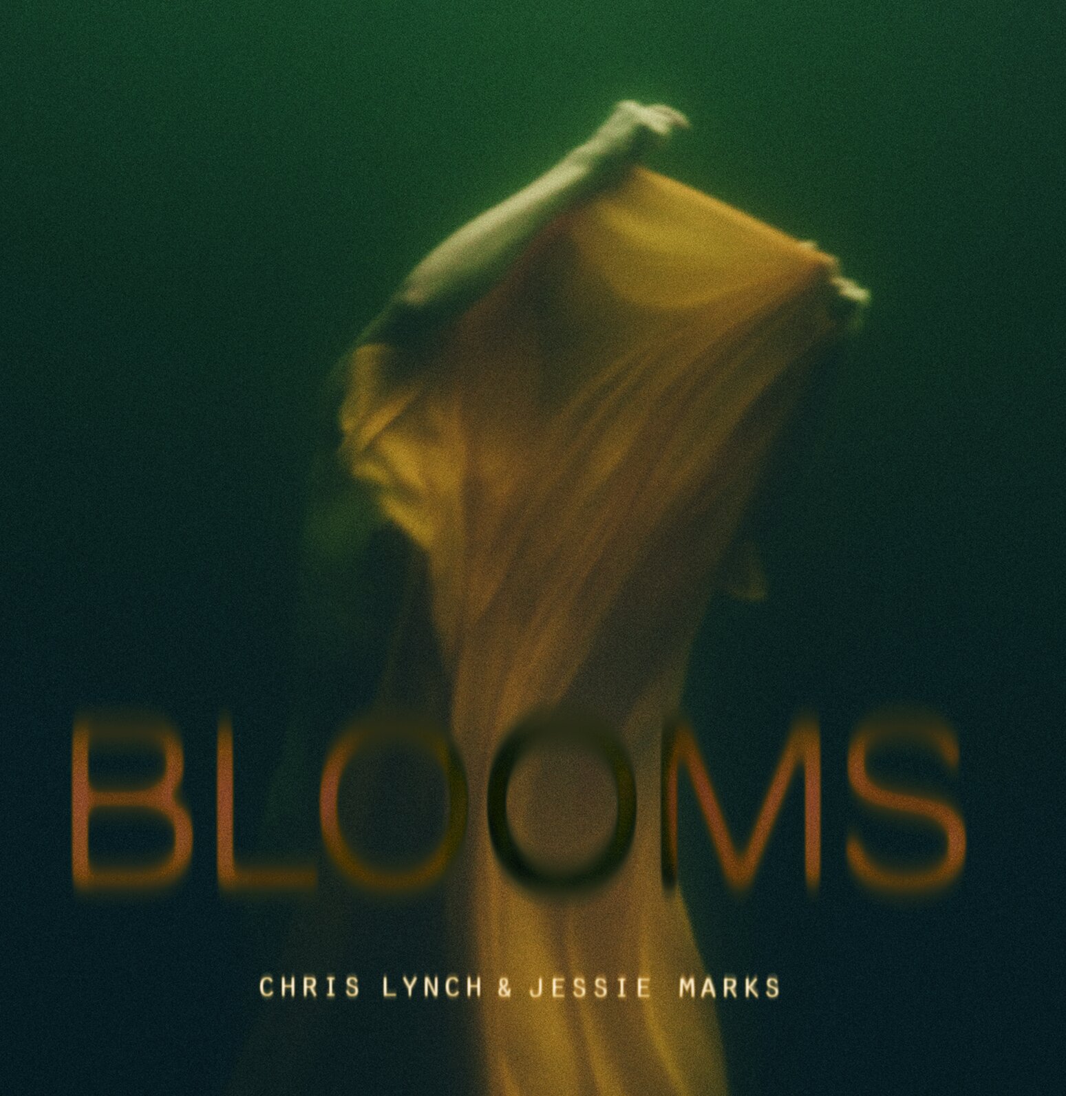 blooms front for promo copy.jpg