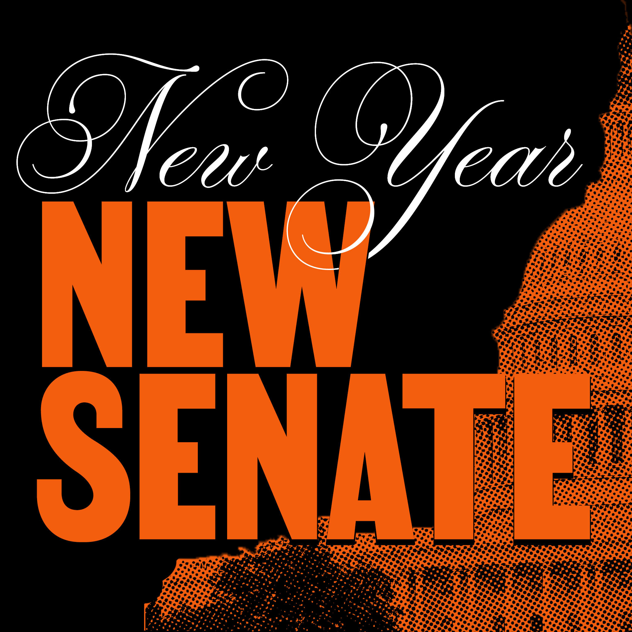 post4- new year new senateig orange copy.jpg