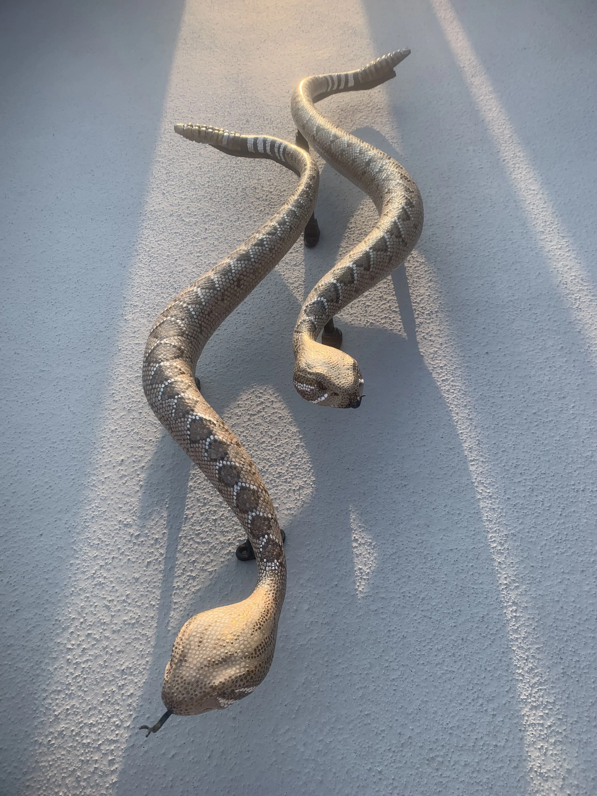 Artist Refurbished Rattlesnake Skin Front Door Handles for the Coopers!