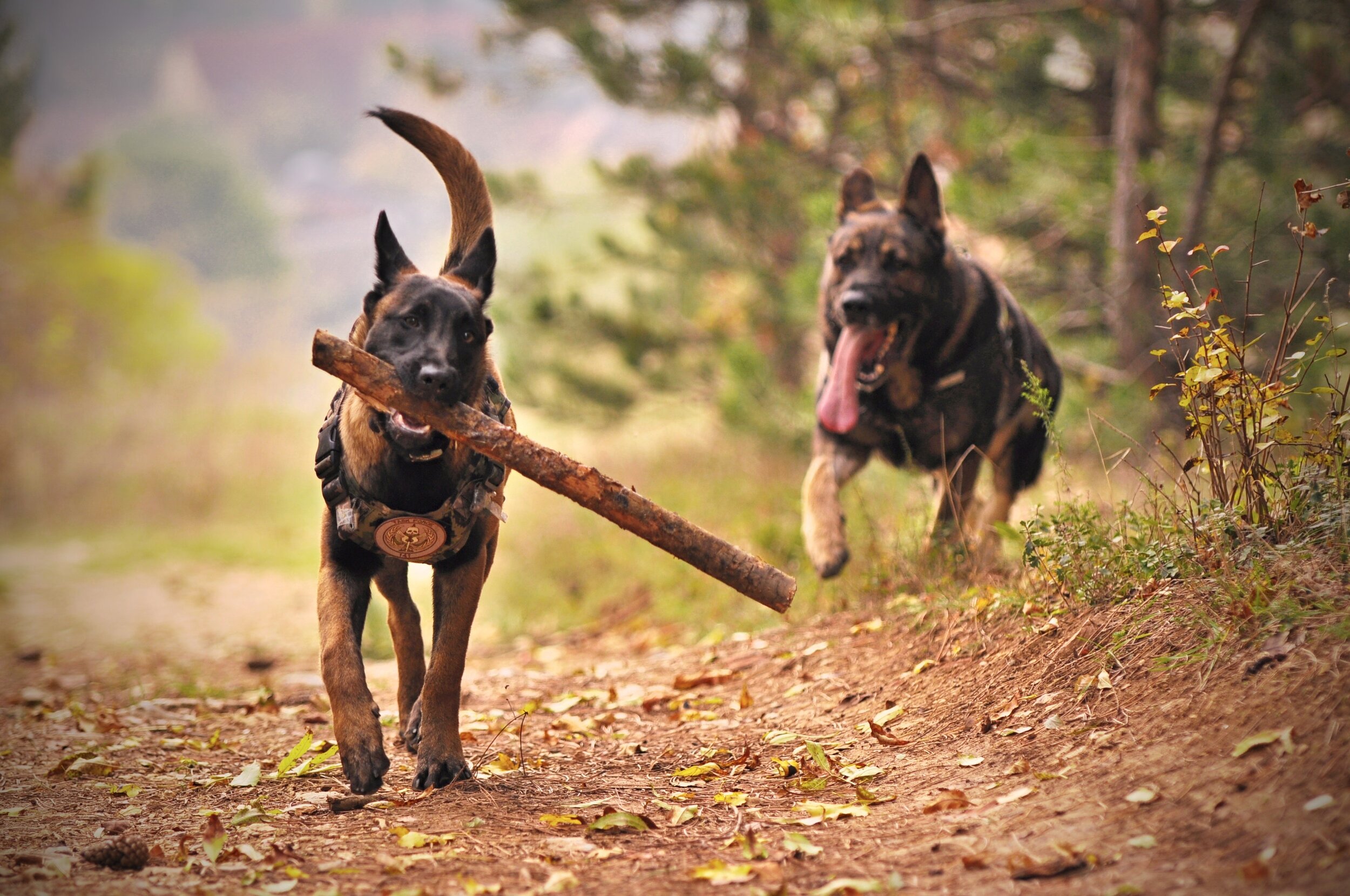 Recall Tip: Avoiding "Catch Me If You Can"!