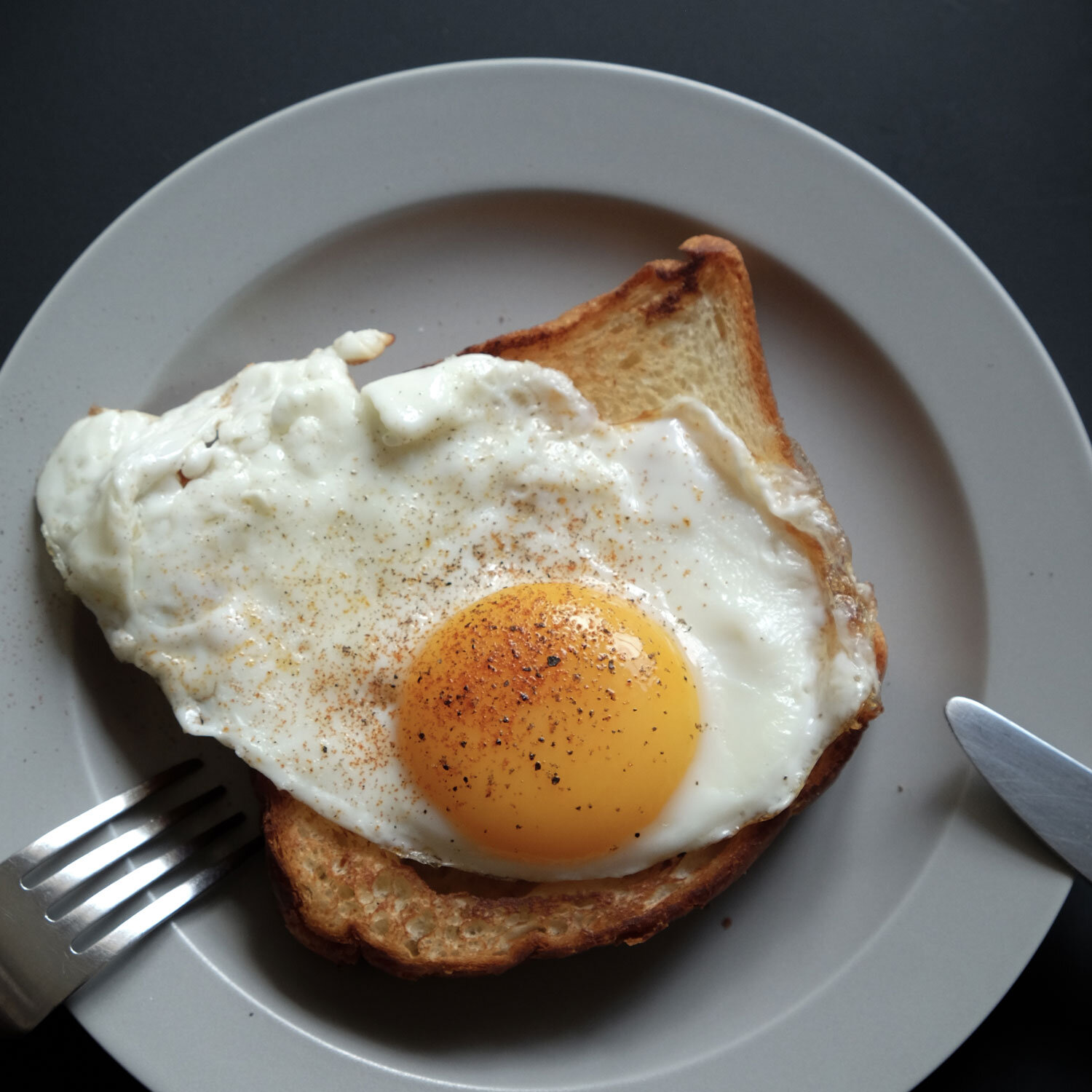 KURA COMMON Ena Rim Plate M