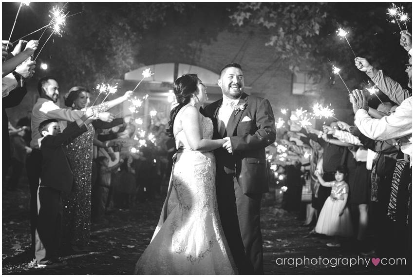 San_Antonio_Wedding_Photography_araphotography_104.jpg