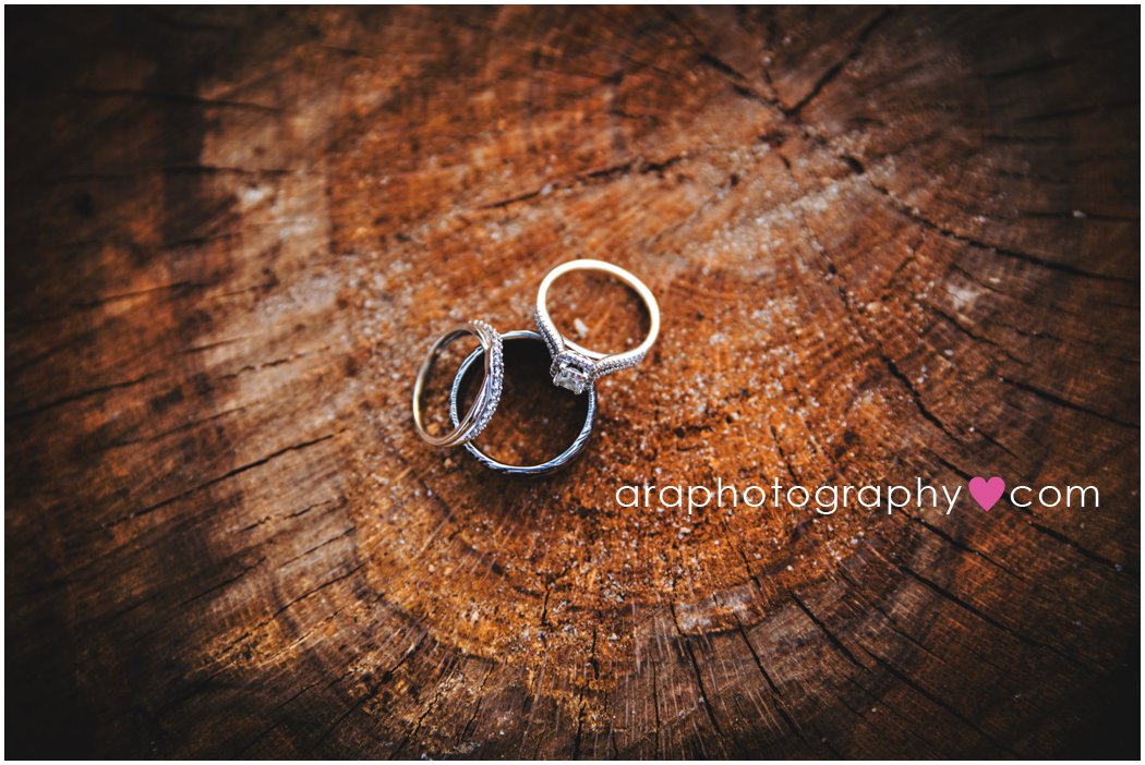 San Antonio Wedding Photographer