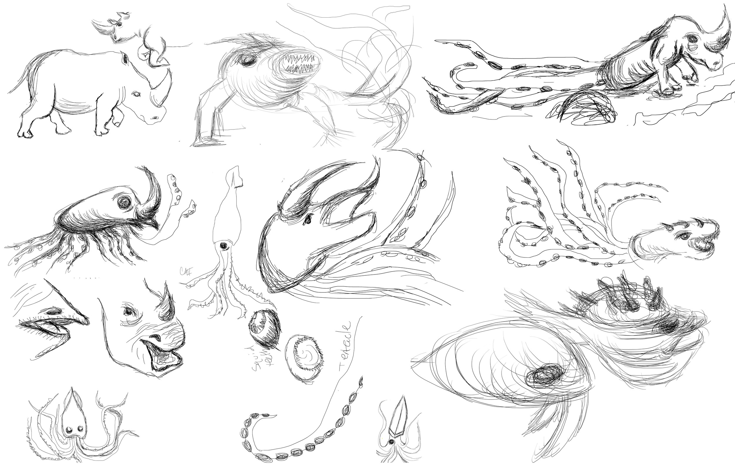 Sketches