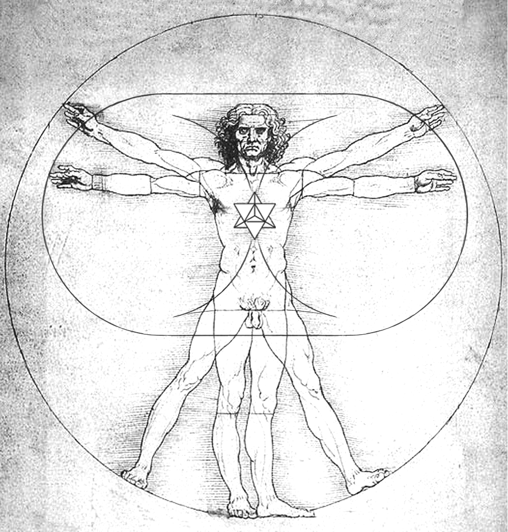 Vitruvian.png