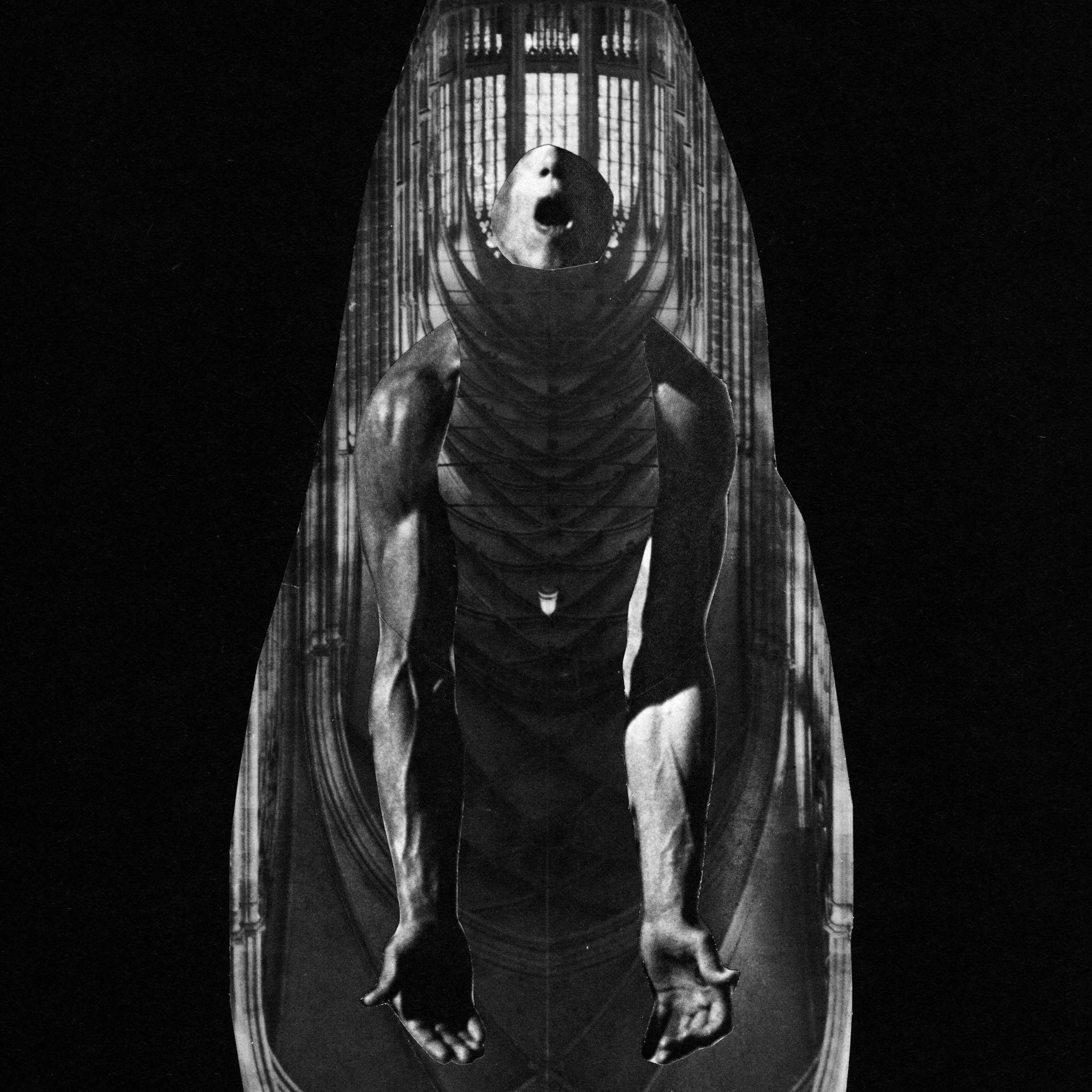 AMERICAN | Violate and Control