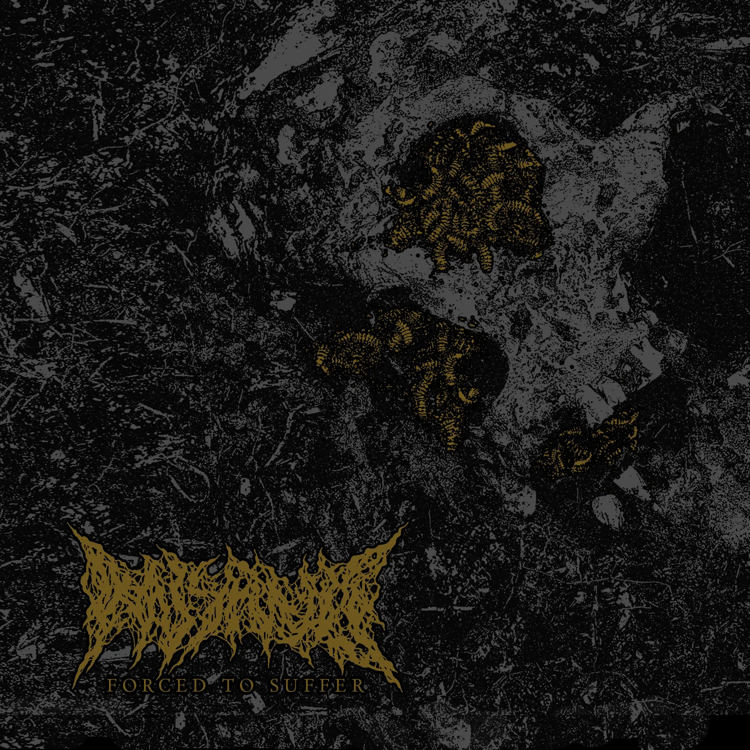 MISRULE | Forced to Suffer