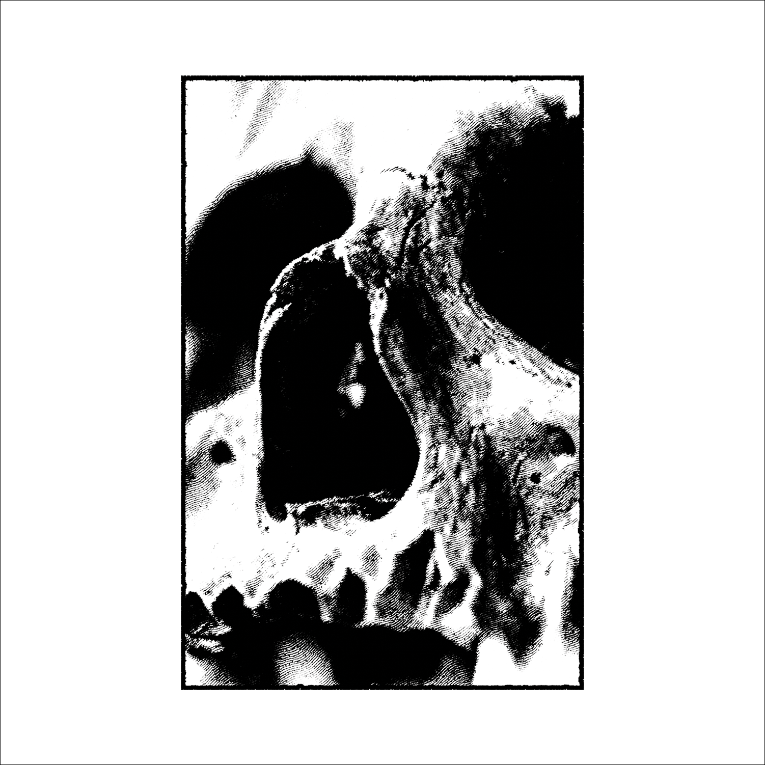 Cover 1500NT_b.png