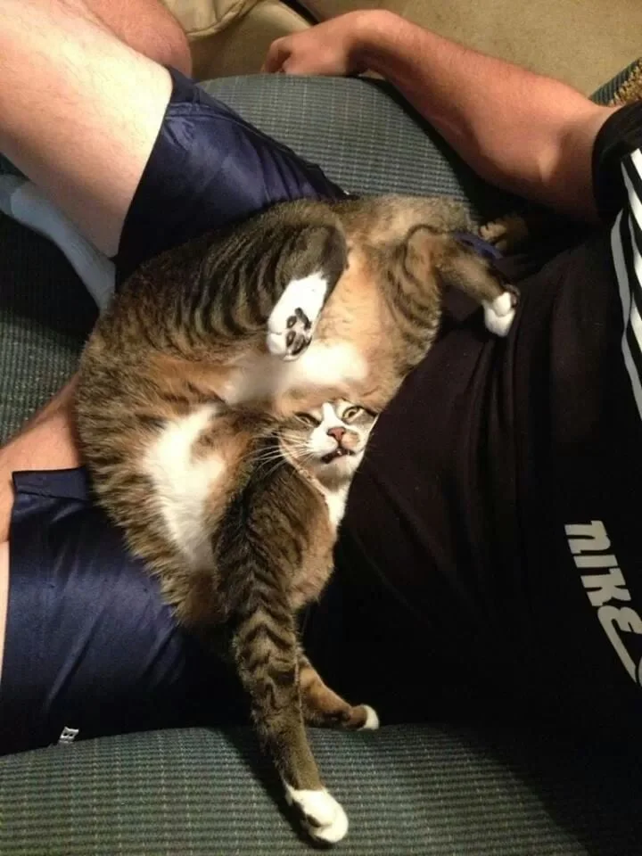 © imgur