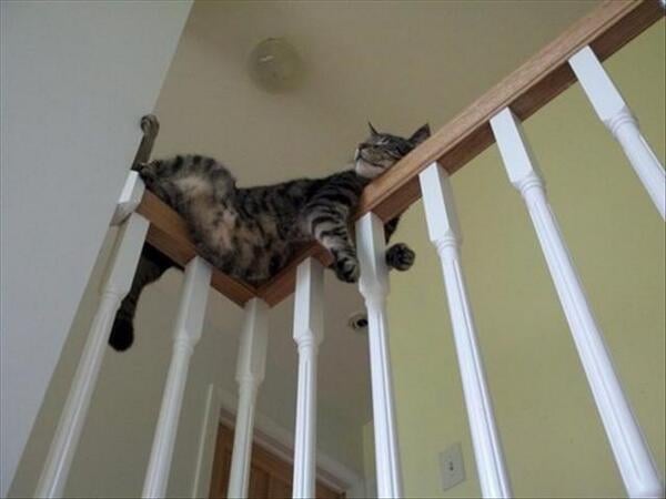 © Imgur