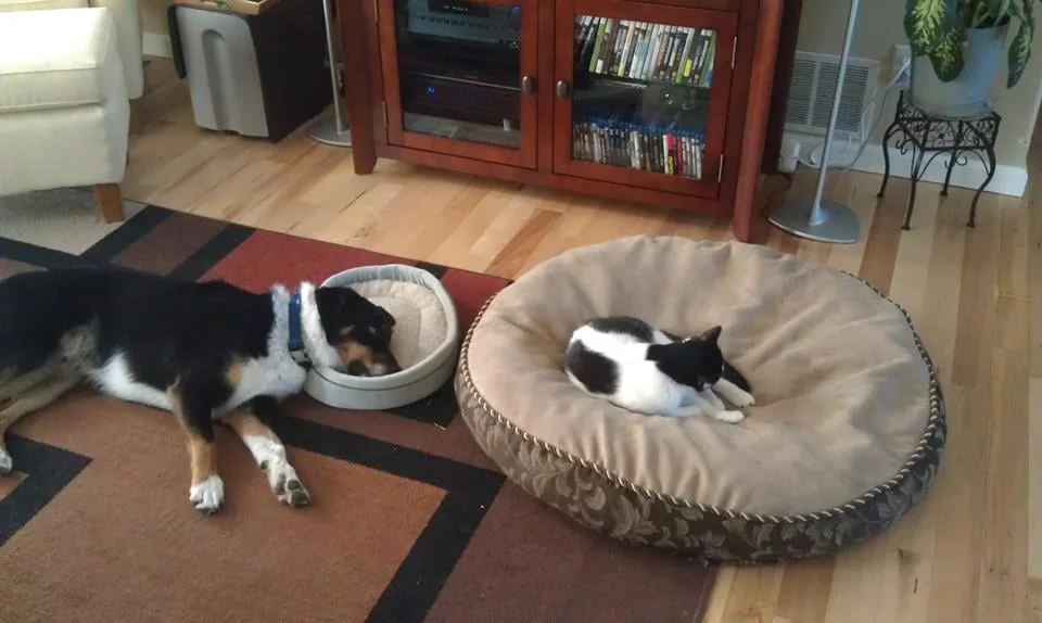 © imgur