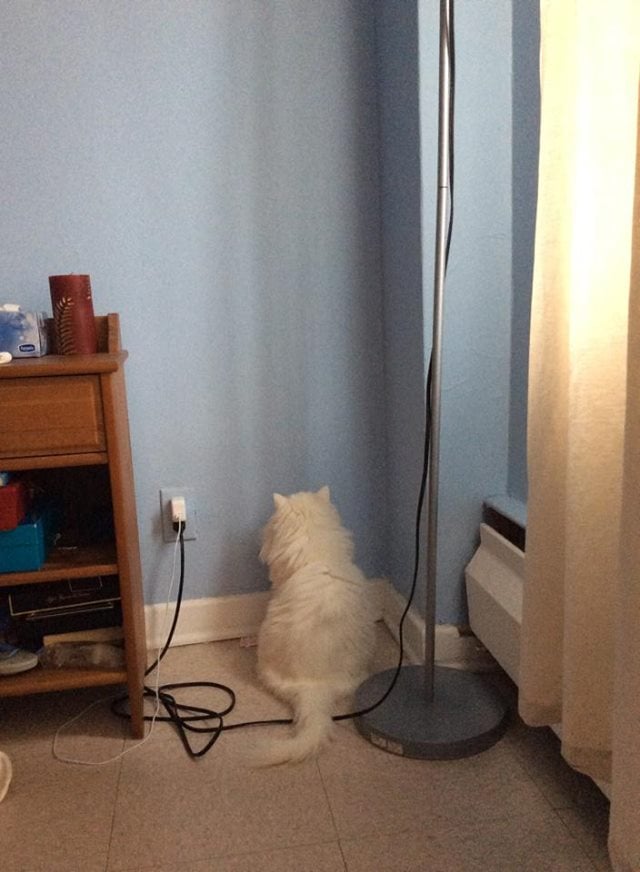 © IMGUR