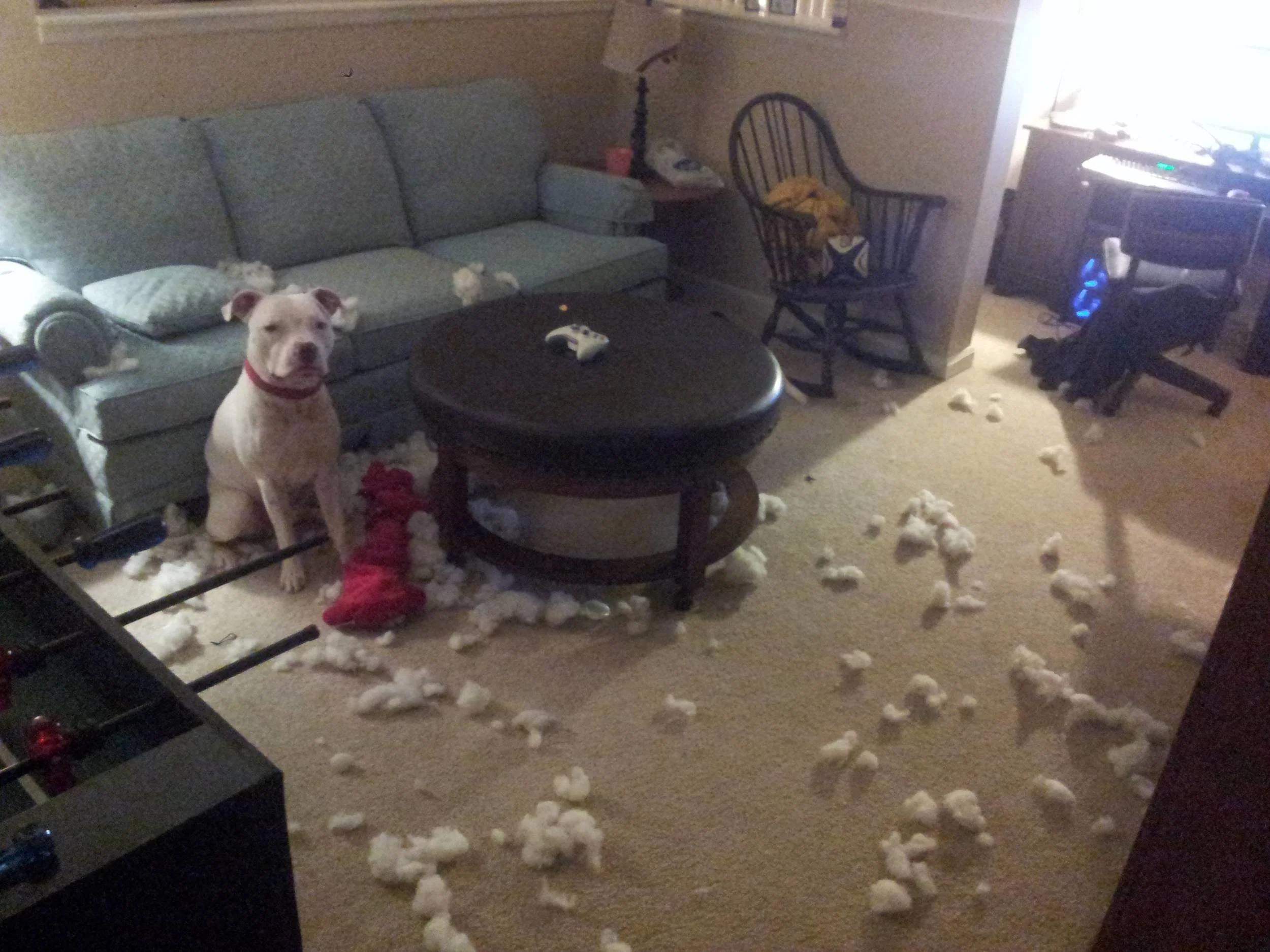 © Imgur