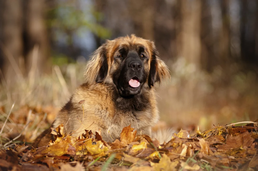 © iStock