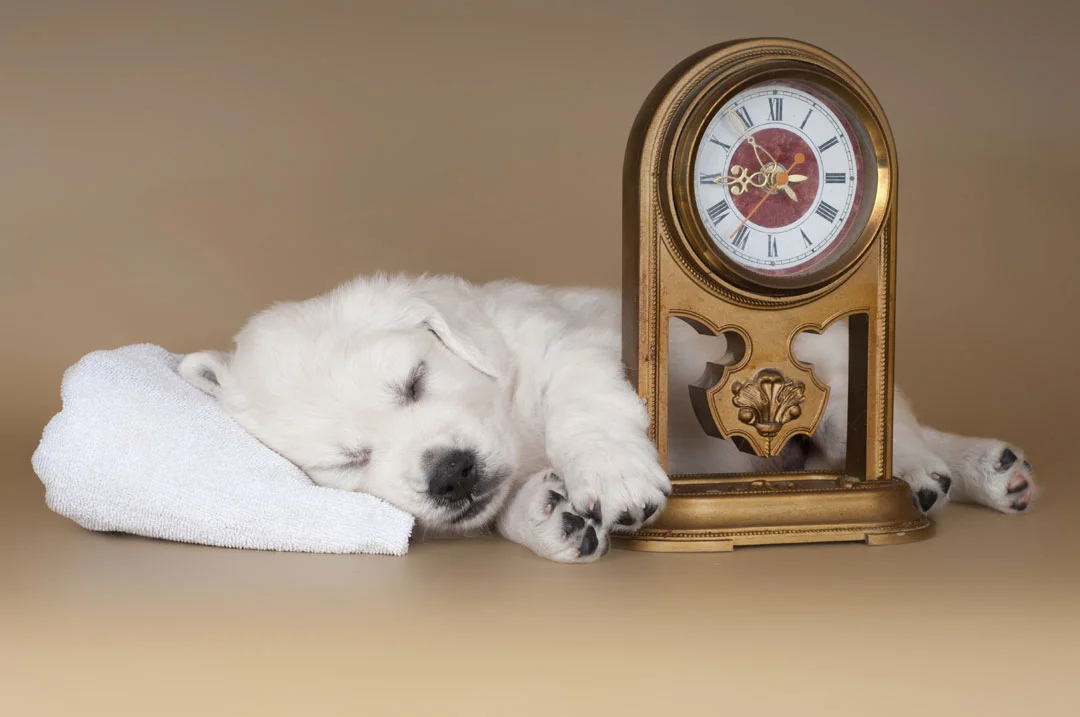 © iStock
